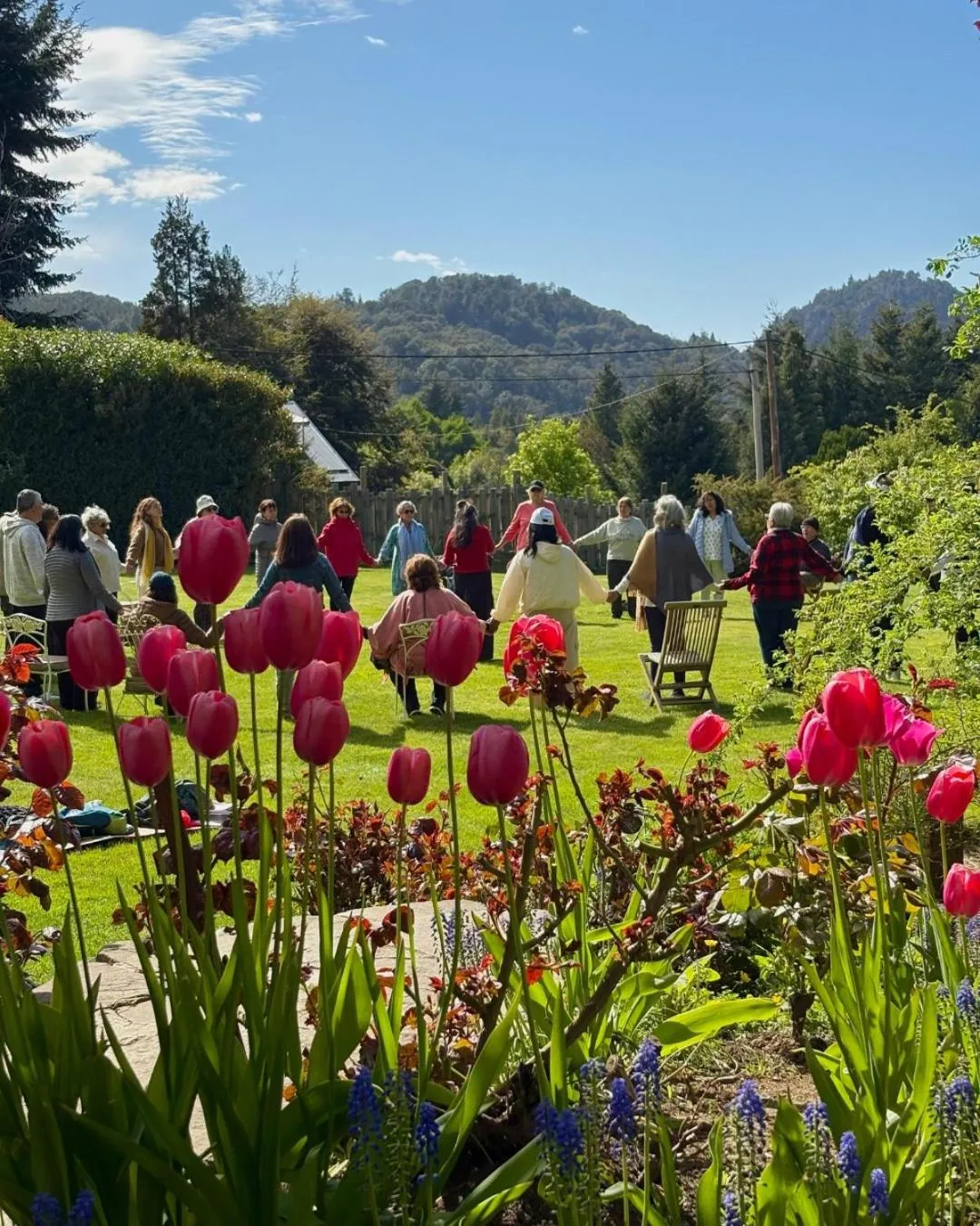 Le Bouquet Apart Hotel