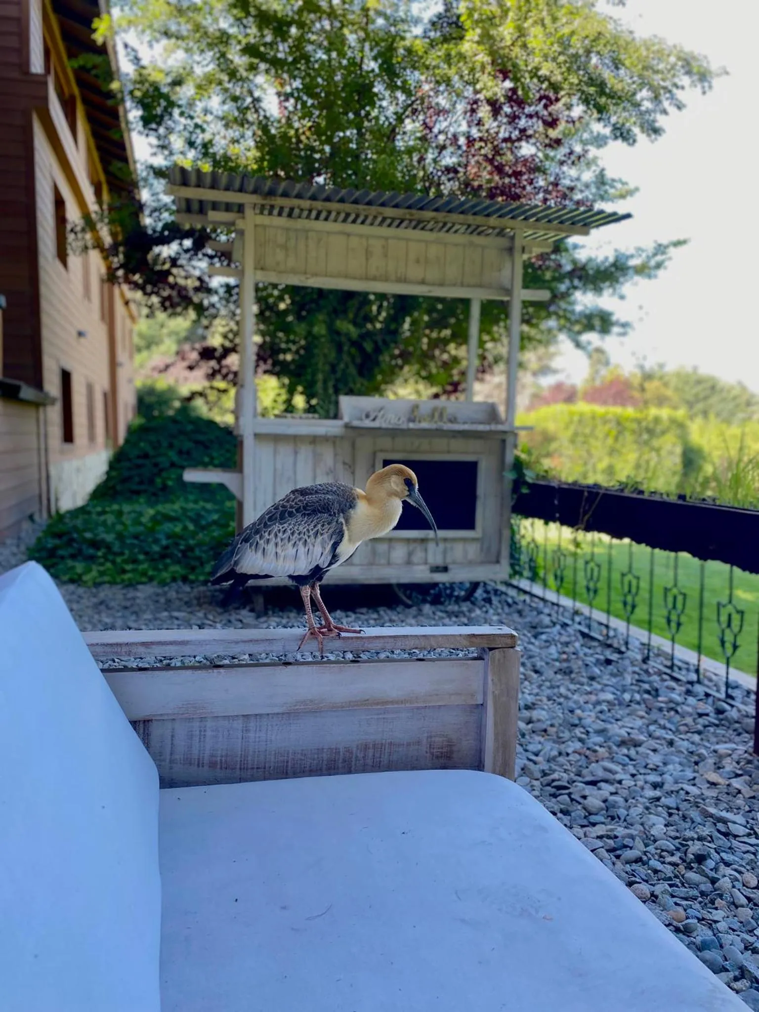 Balcony/Terrace in Le Bouquet Apart Hotel