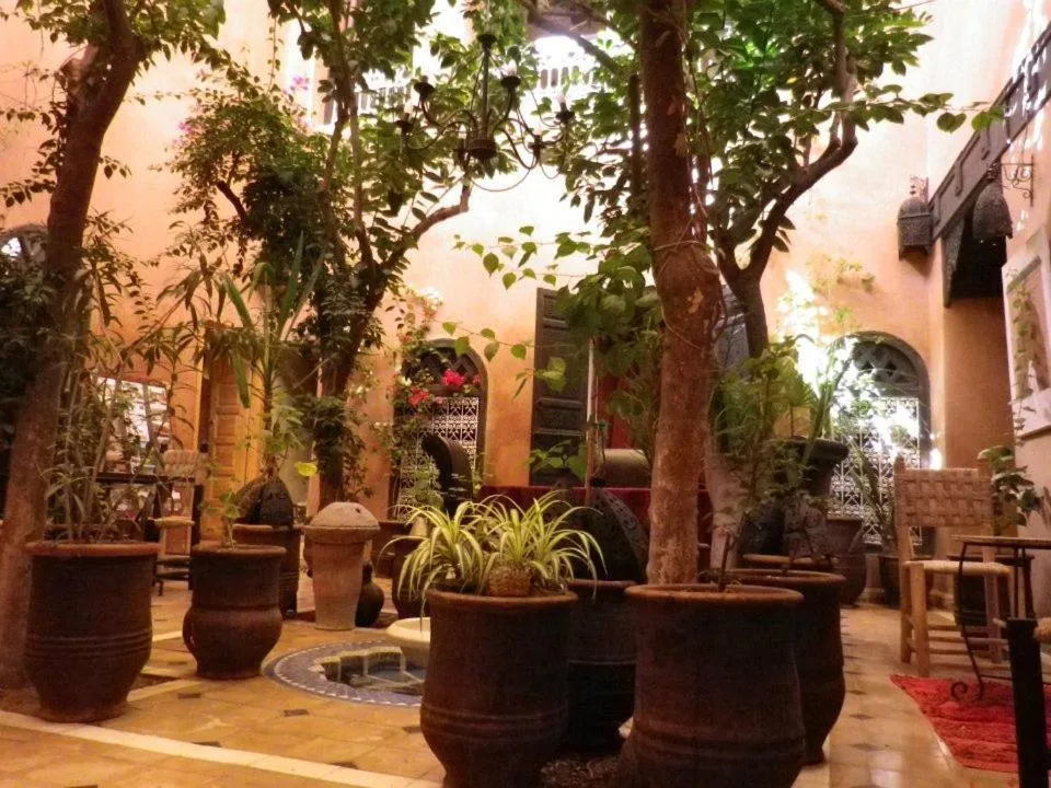 Garden view in Riad Sidi Omar