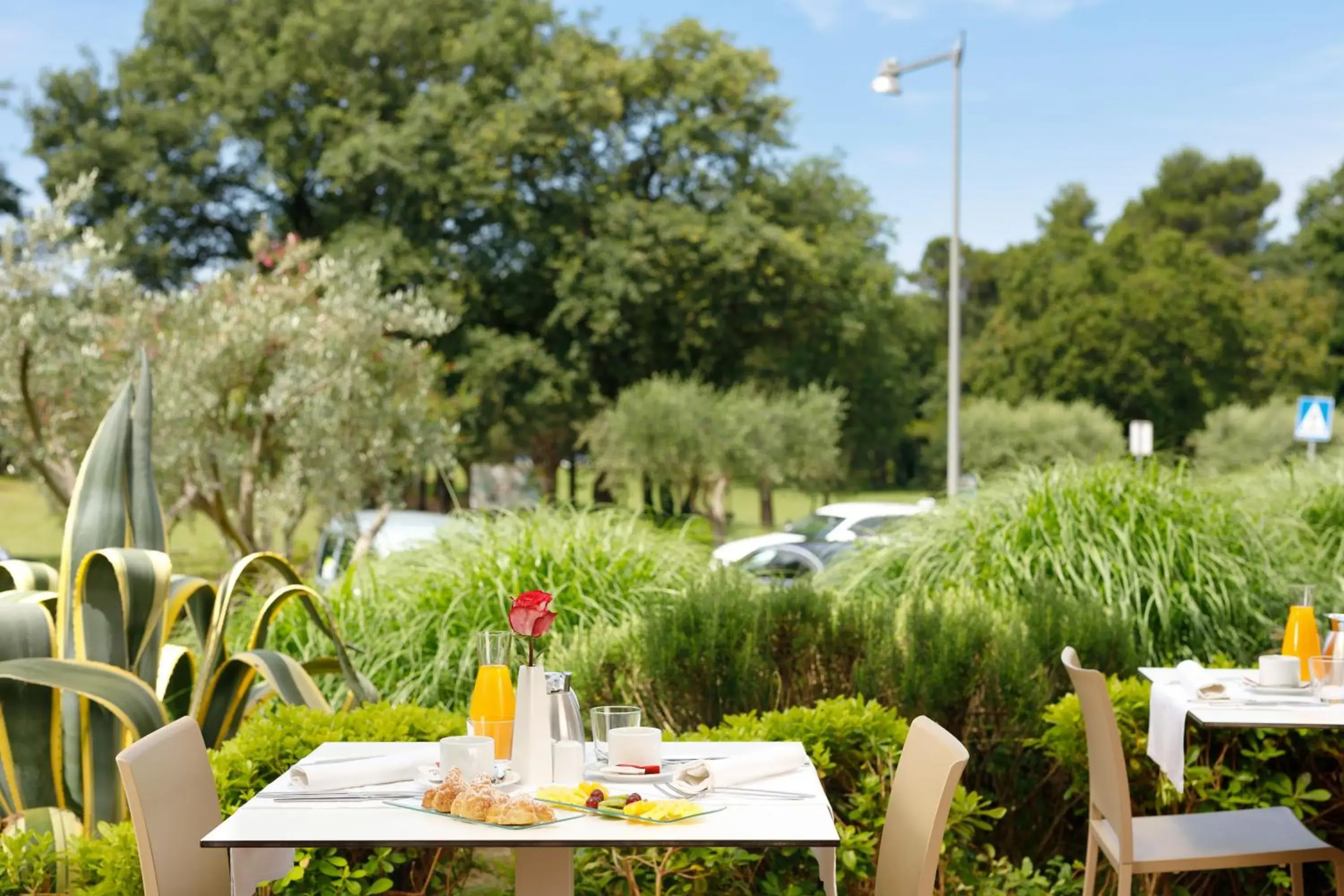 Restaurant/places to eat in Residence Garden Istra Plava Laguna Restaurant/places to eat in Residence Garden Istra Plava Laguna