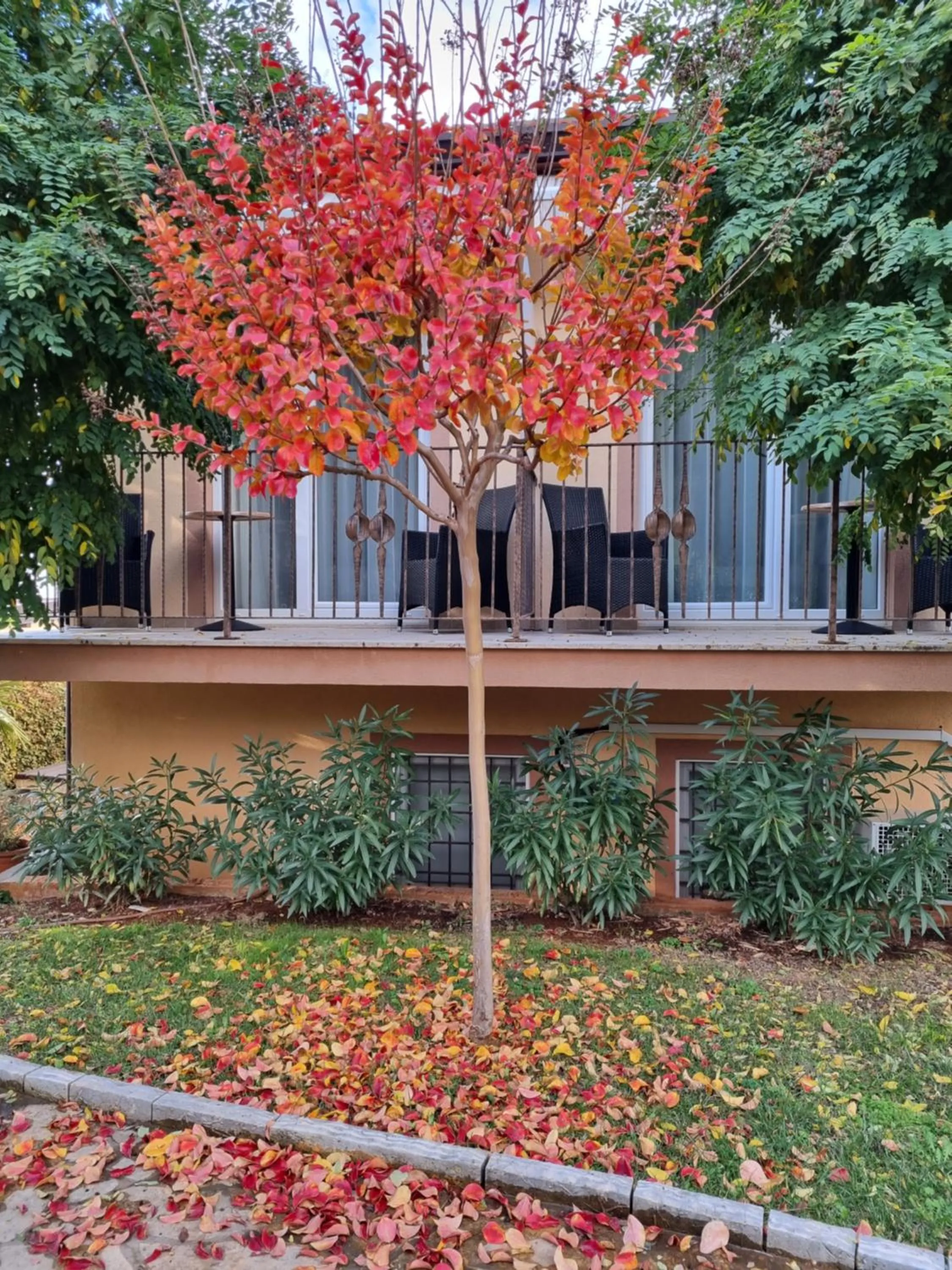 Garden in Hotel Zlatna Vala