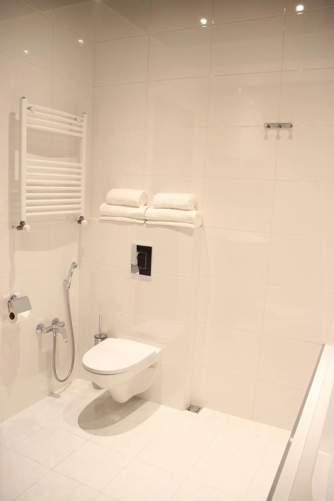 Toilet in Super Luxury Apartments