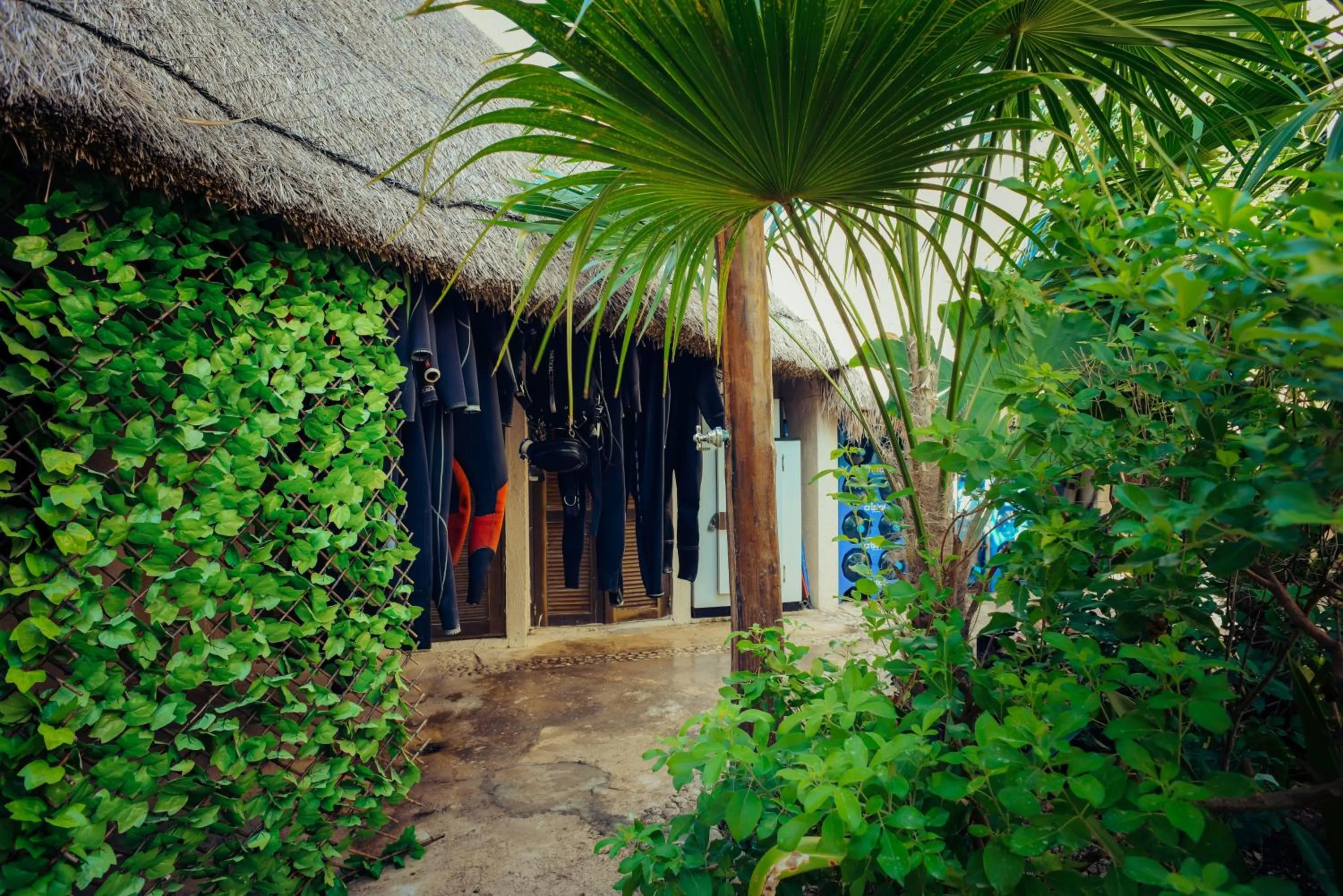 Diving in Aquatech Villas DeRosa Resort