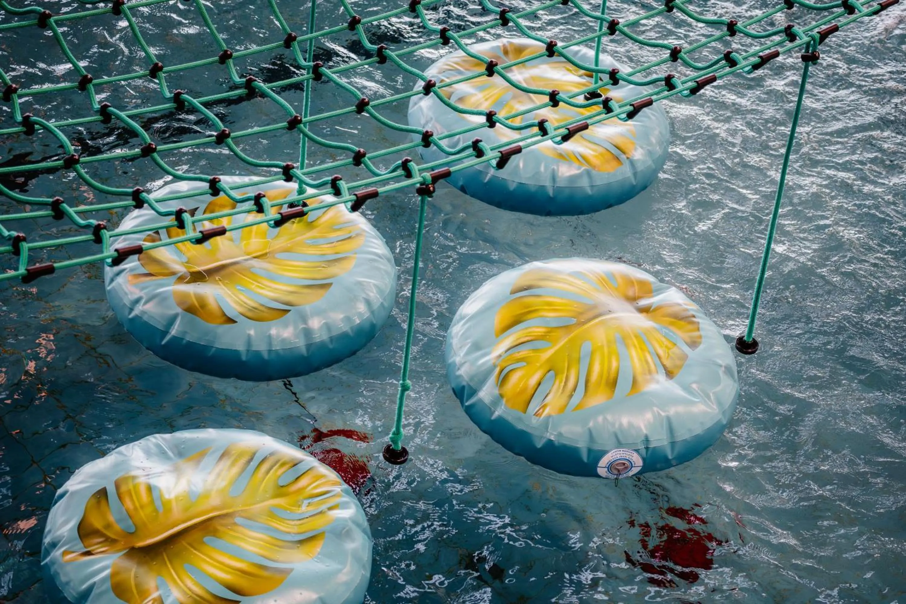 Aqua park in Zespół Dolina Białego - Pensjonat Telimena