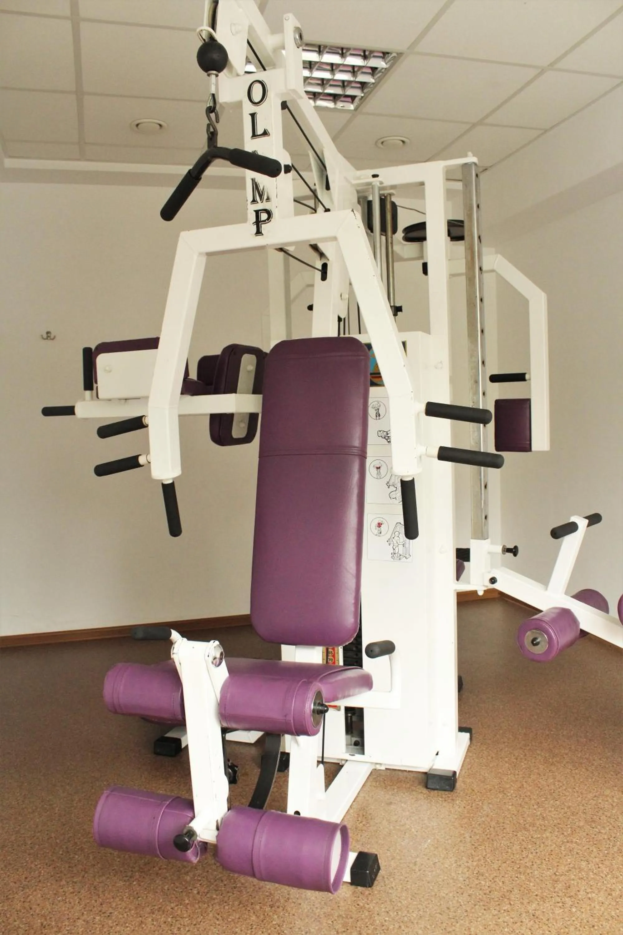 Fitness centre/facilities in Zespół Dolina Białego - Pensjonat Telimena