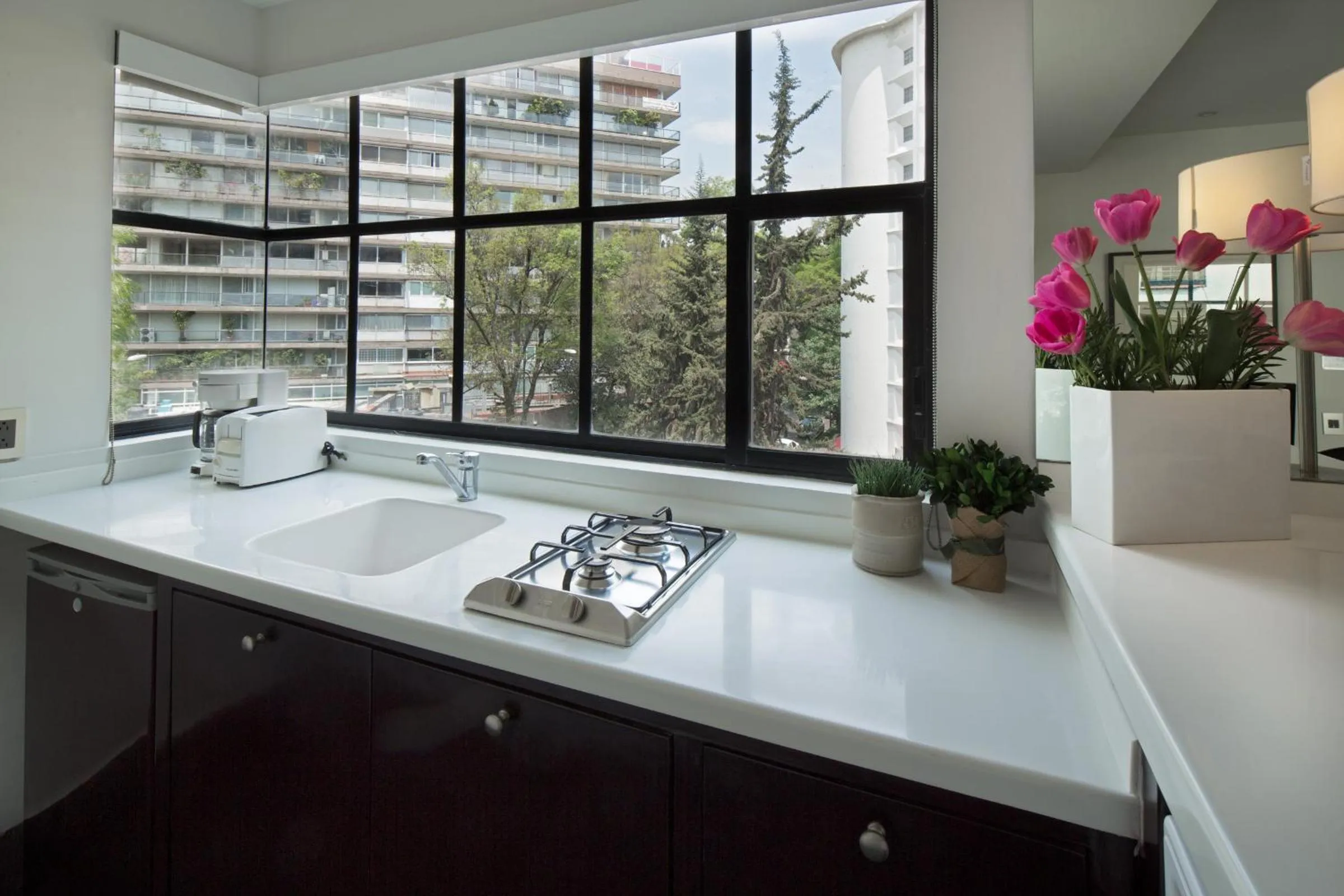 Kitchen or kitchenette in FlowSuites Polanco