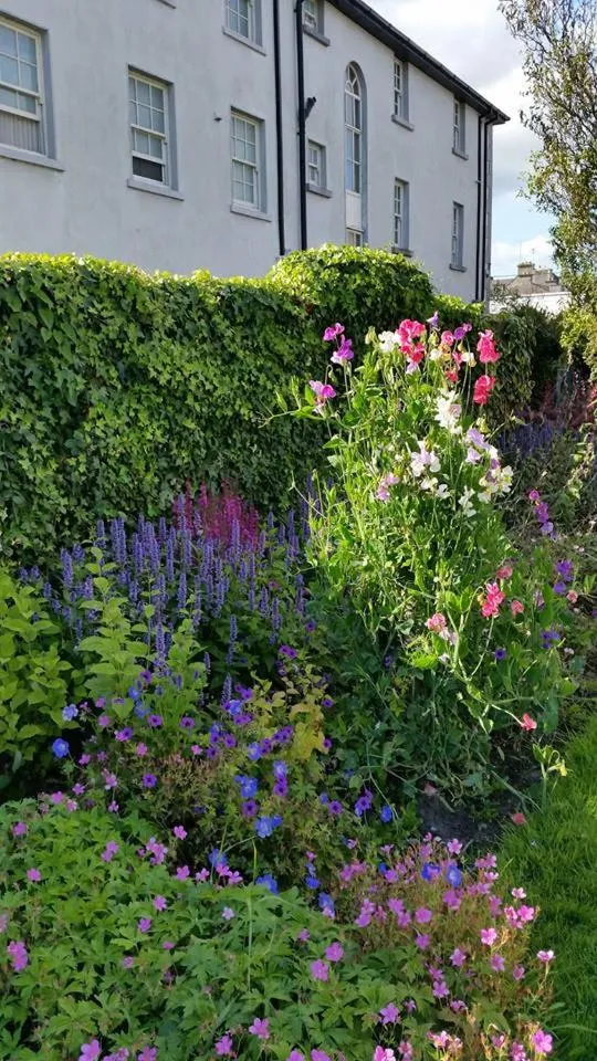 Garden in Lakeside Loughrea