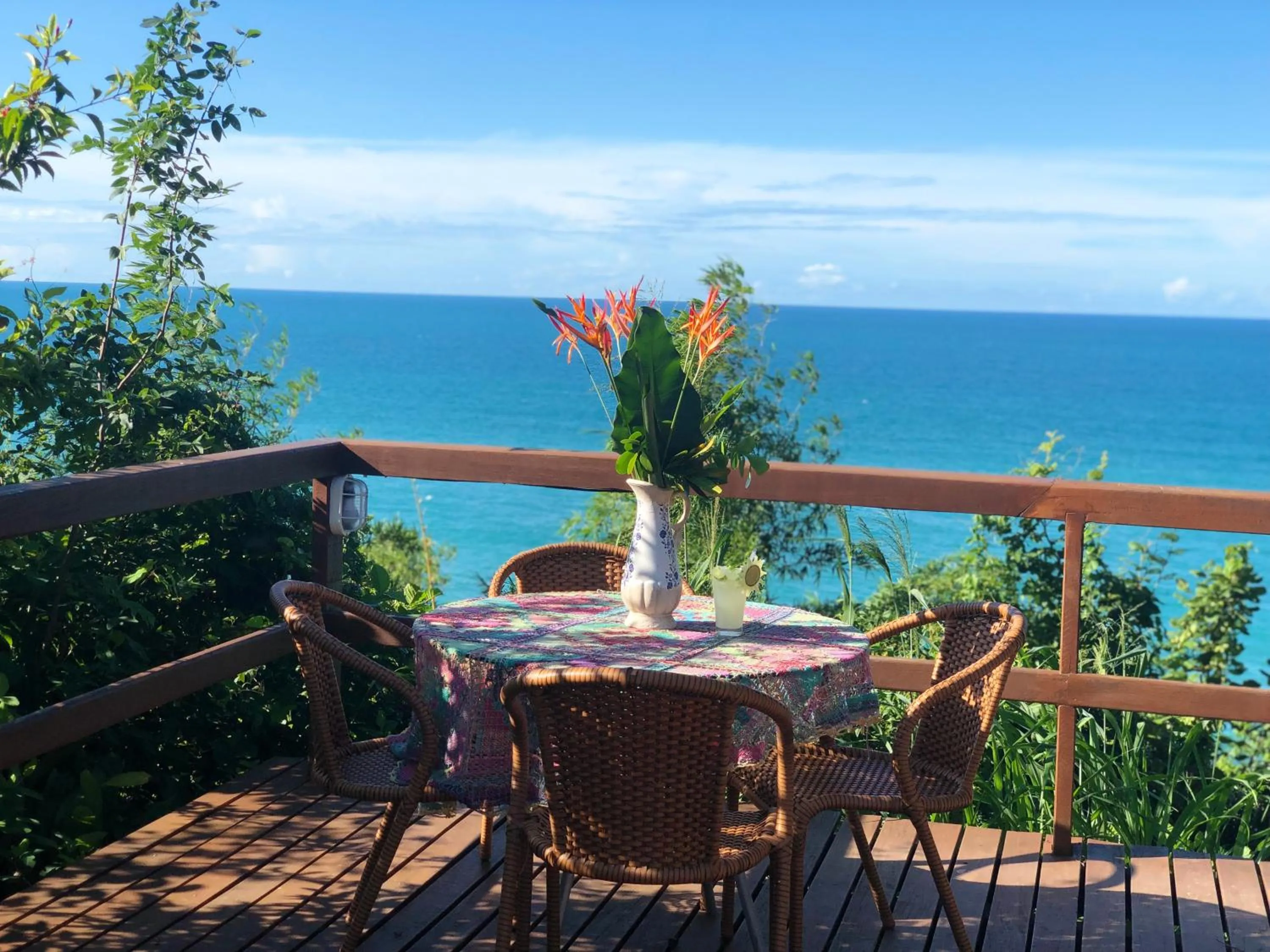 Natural landscape in Hotel Casablanca