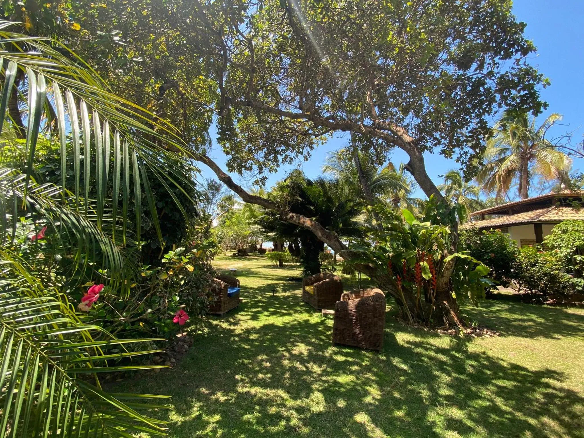 Garden view in Hotel Casablanca