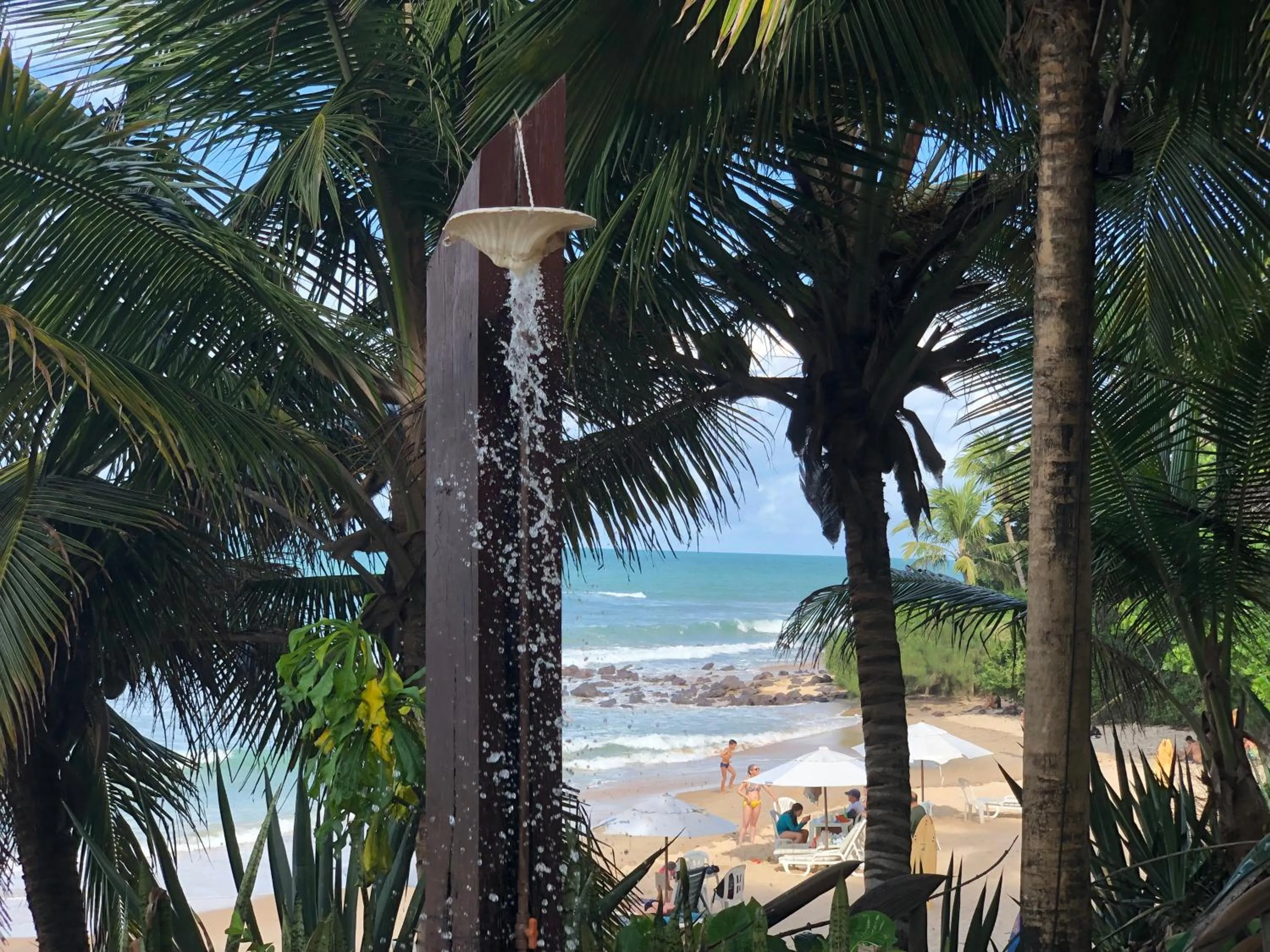 Natural landscape in Hotel Casablanca