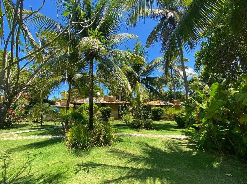 Natural landscape in Hotel Casablanca