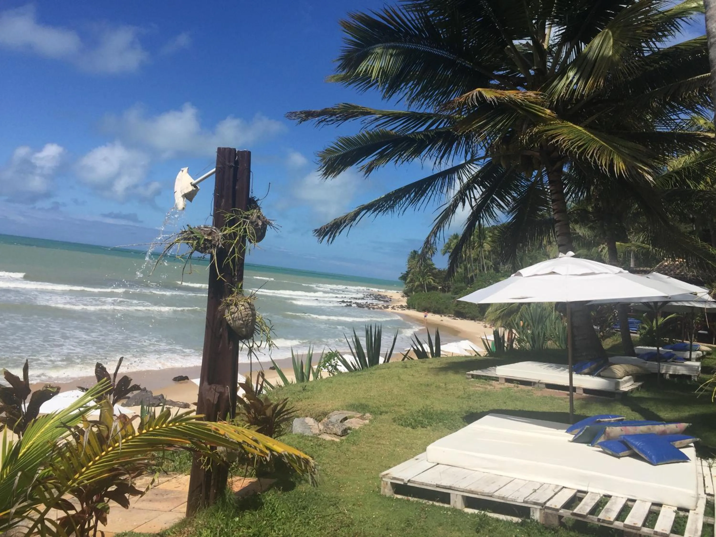 Natural landscape in Hotel Casablanca