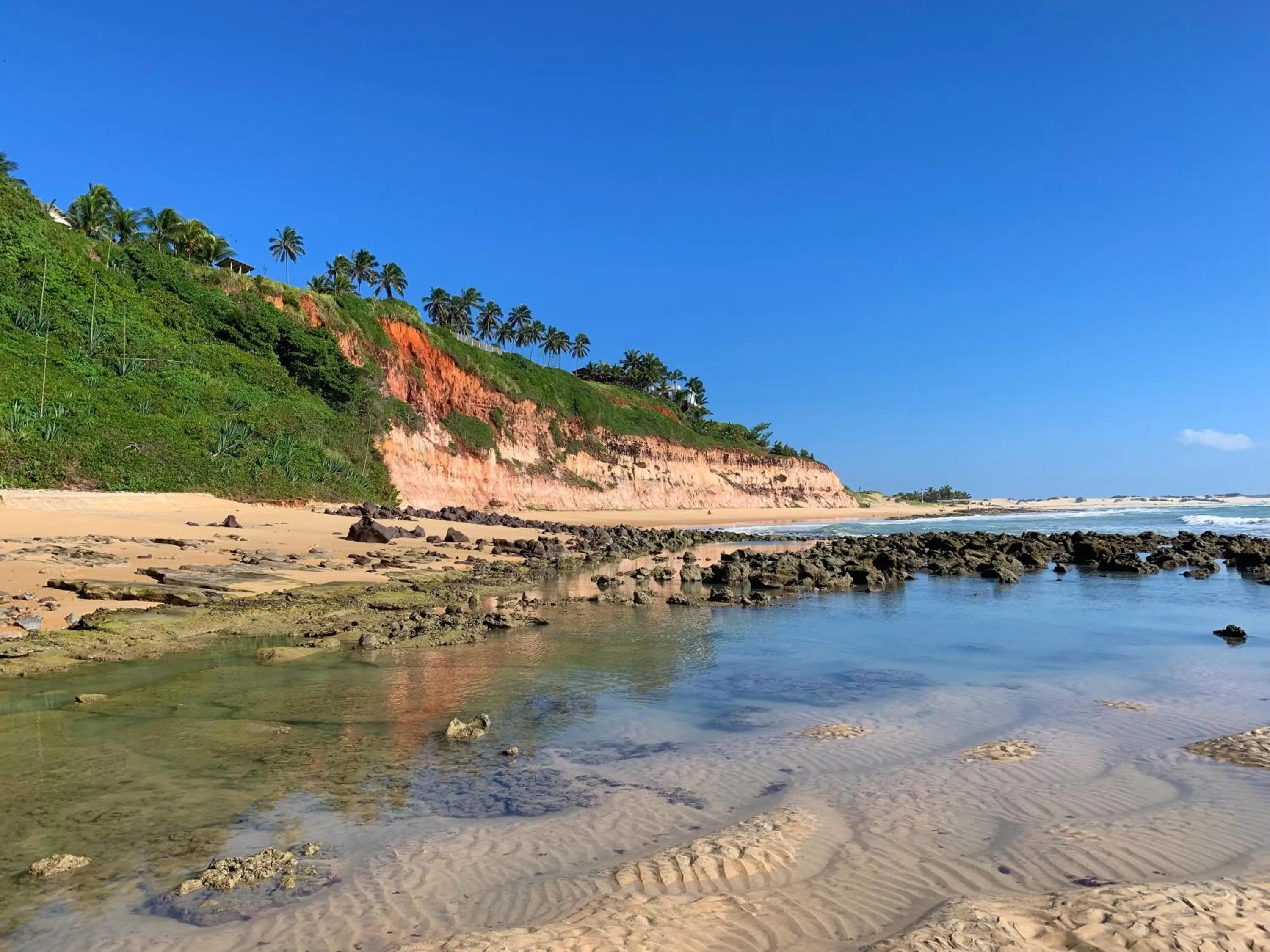 Natural landscape in Hotel Casablanca