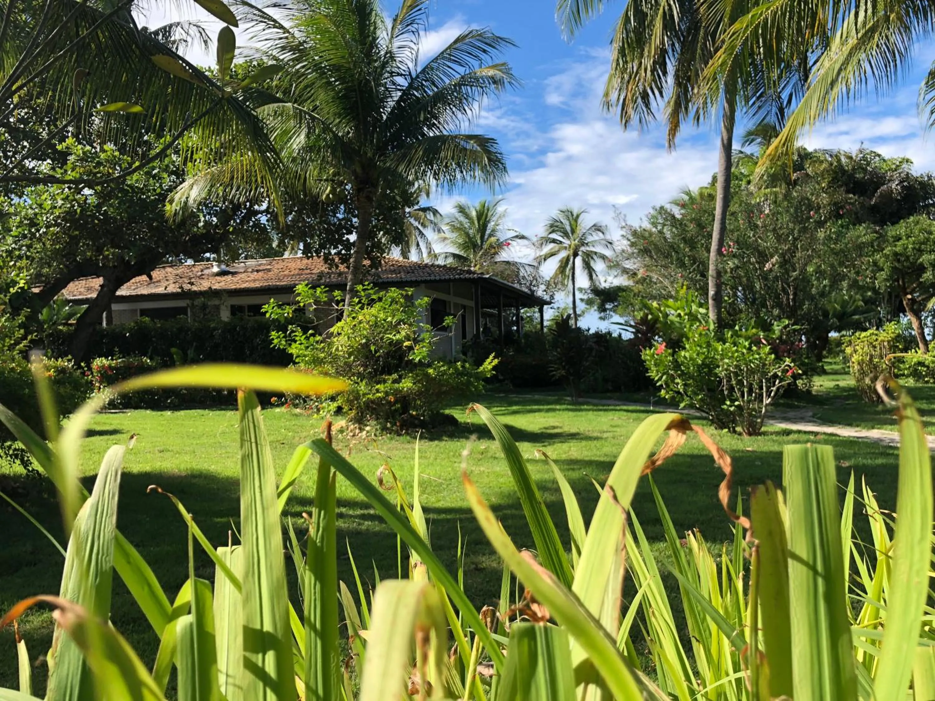 Natural landscape in Hotel Casablanca