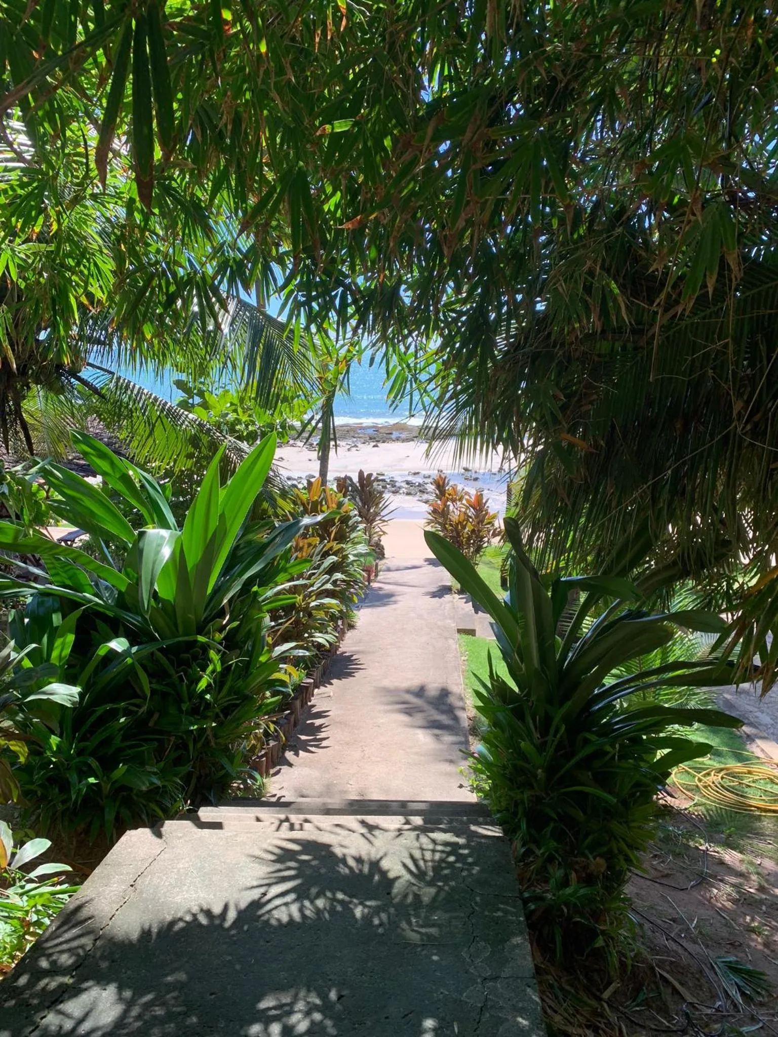 Natural landscape in Hotel Casablanca