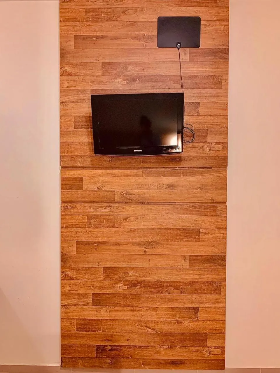 TV and multimedia in Victoria Plaza Hotel