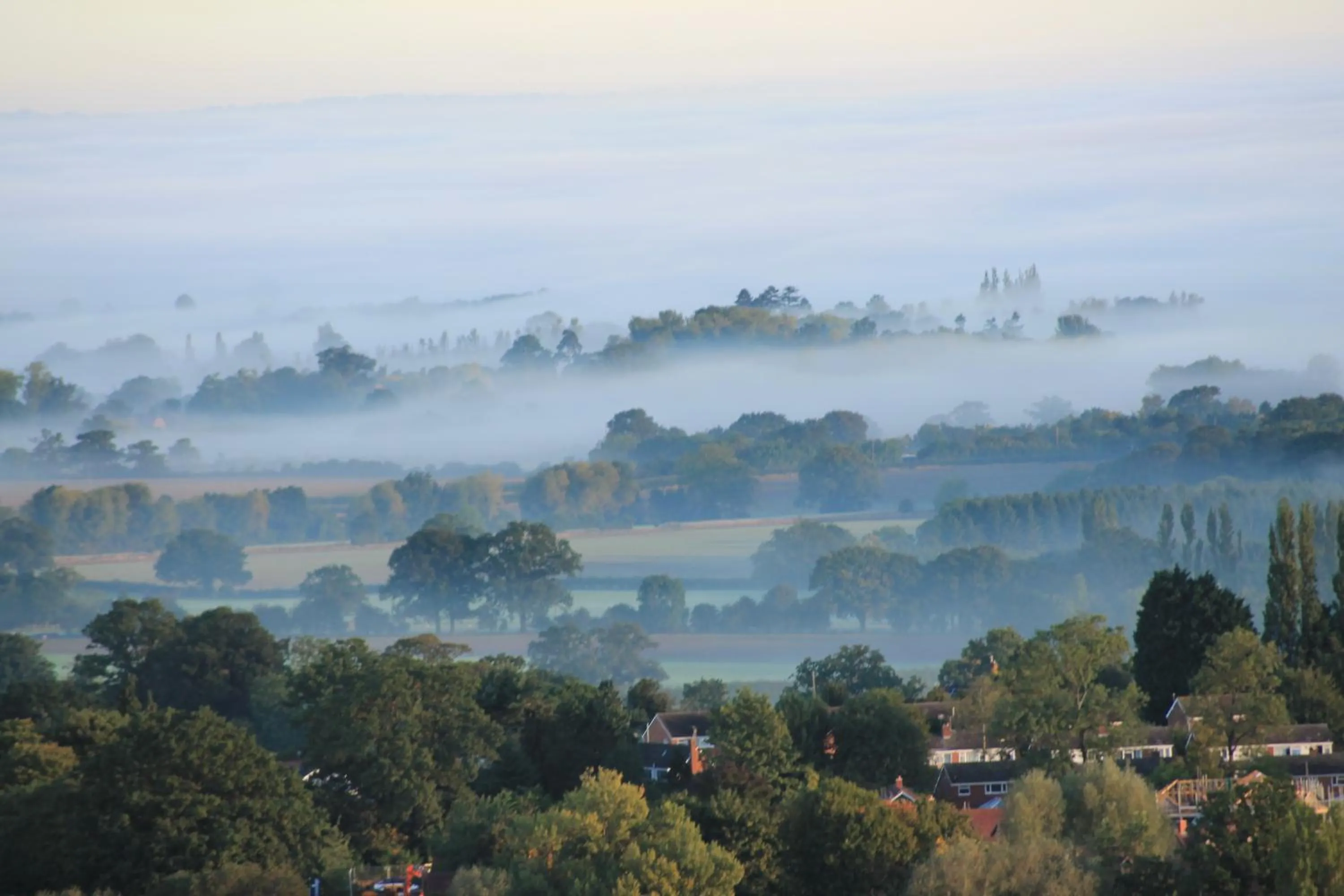 Garden view in Ashbury Bed & Breakfast