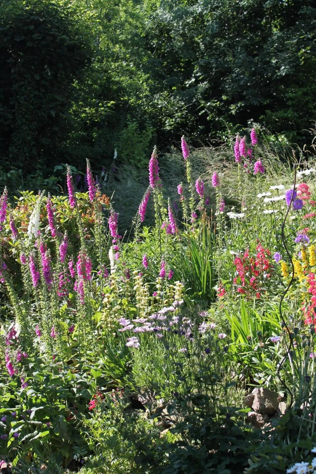 Garden in Ashbury Bed & Breakfast