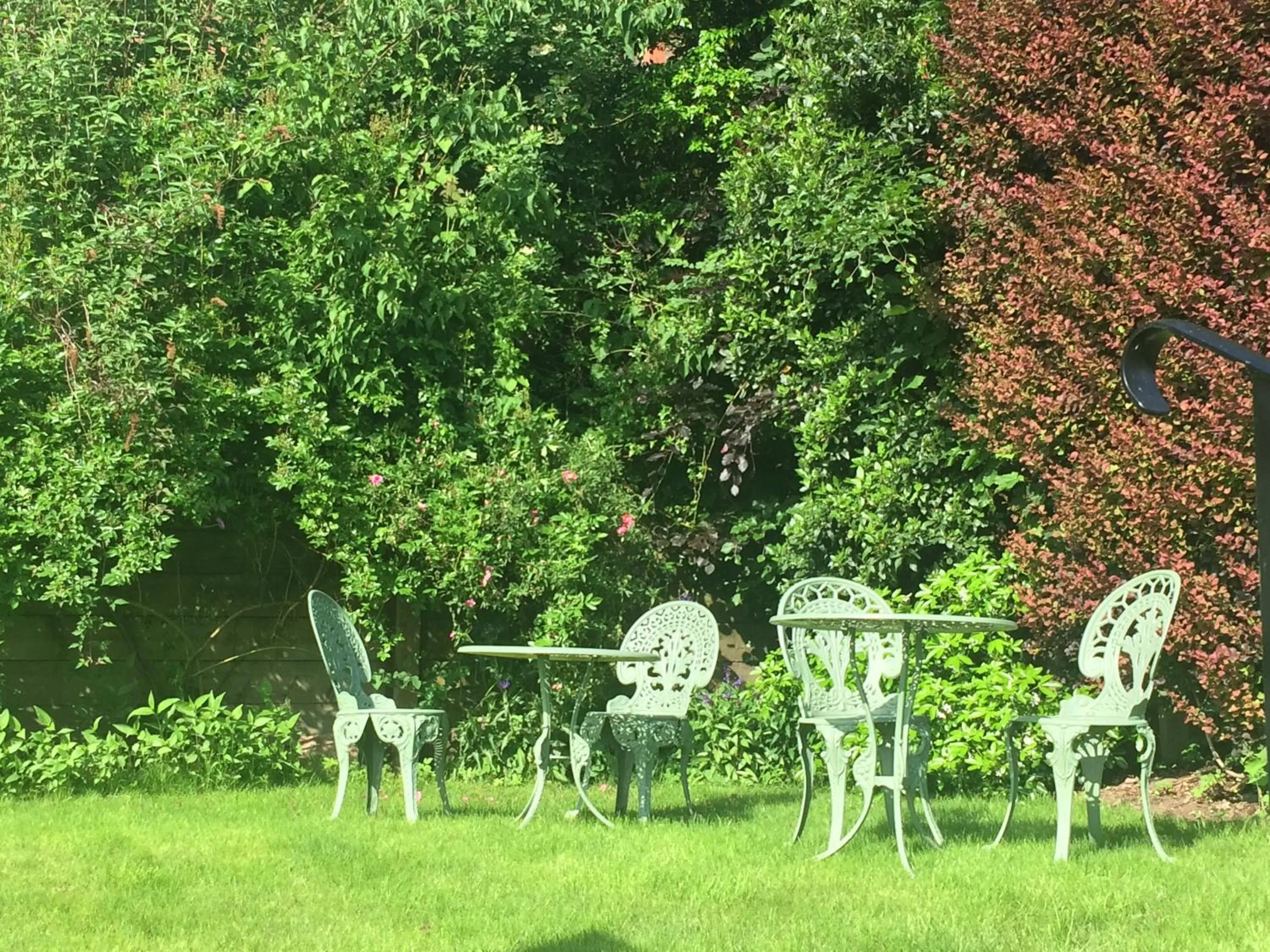 Garden in Ashbury Bed & Breakfast