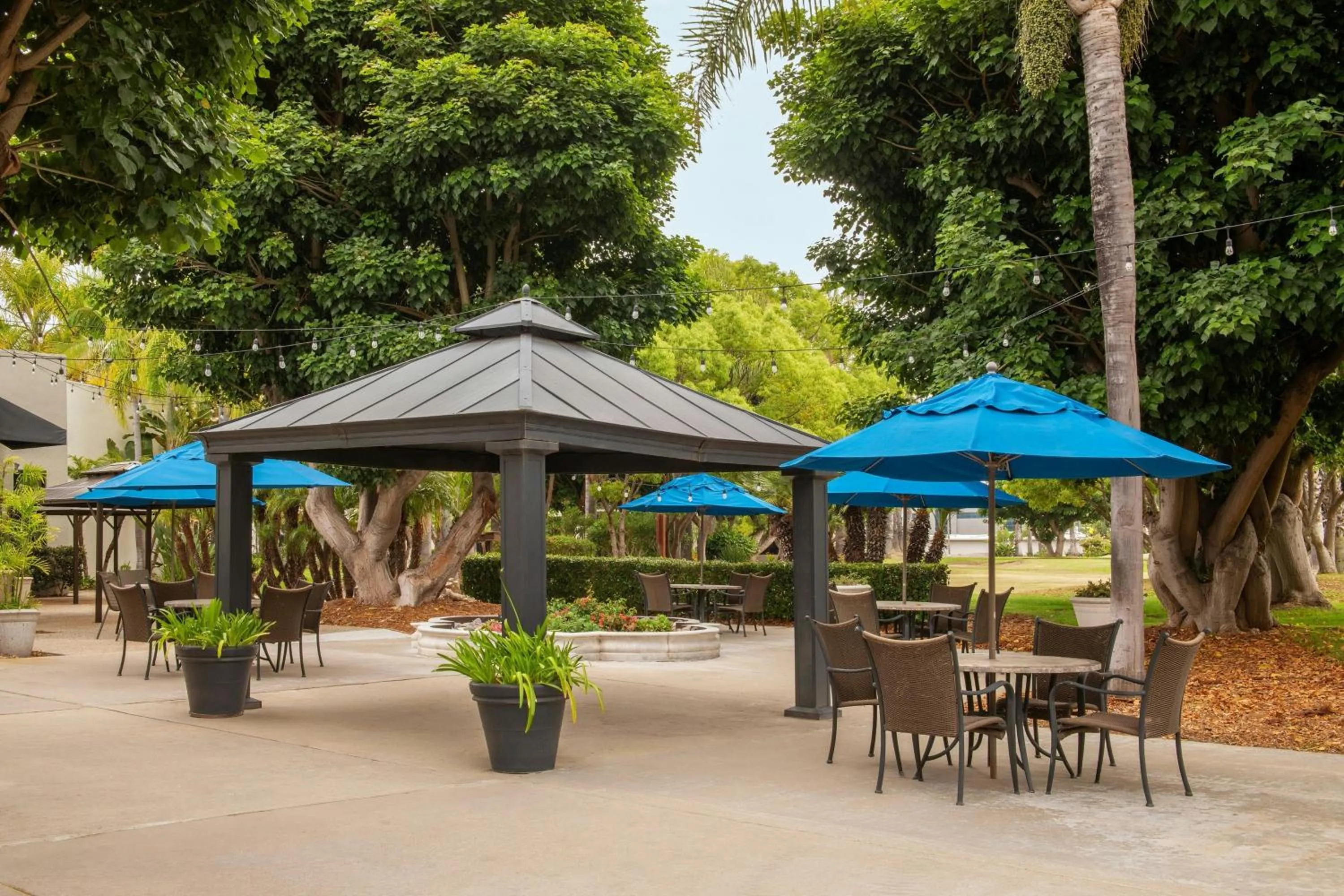 View (from property/room) in Four Points by Sheraton San Diego