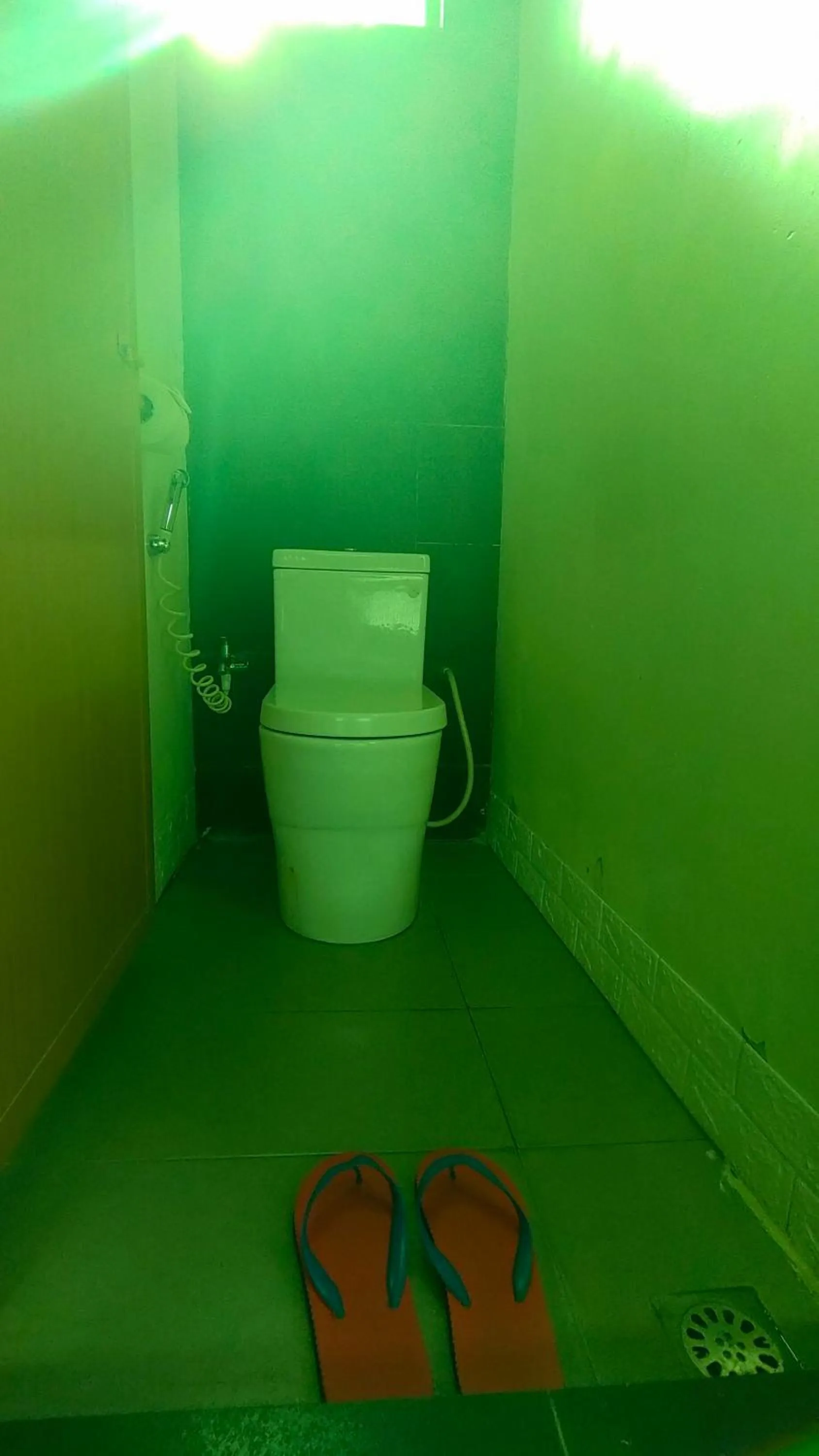 Toilet in Kuree Hut