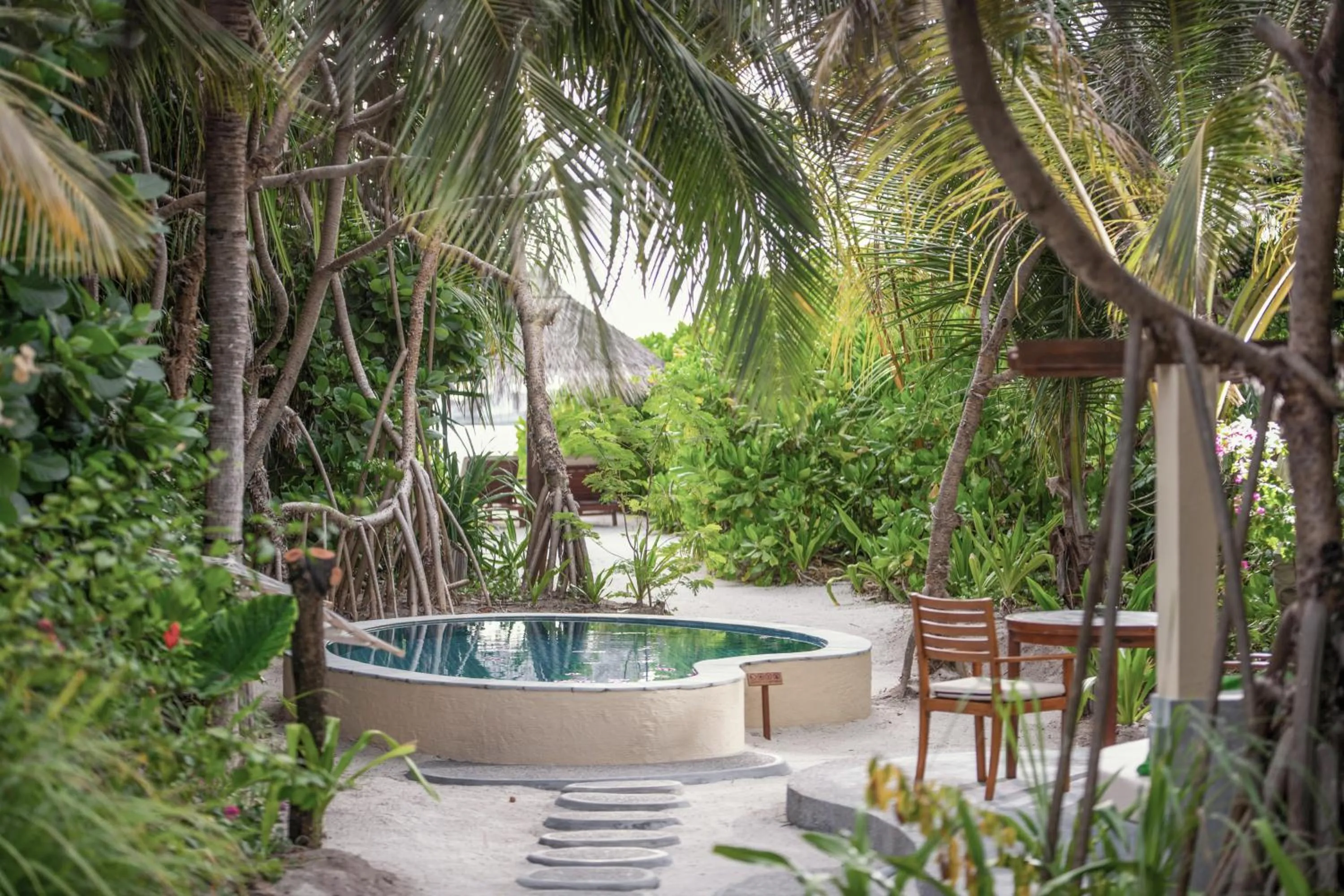 Pool view in Coco Palm Dhuni Kolhu