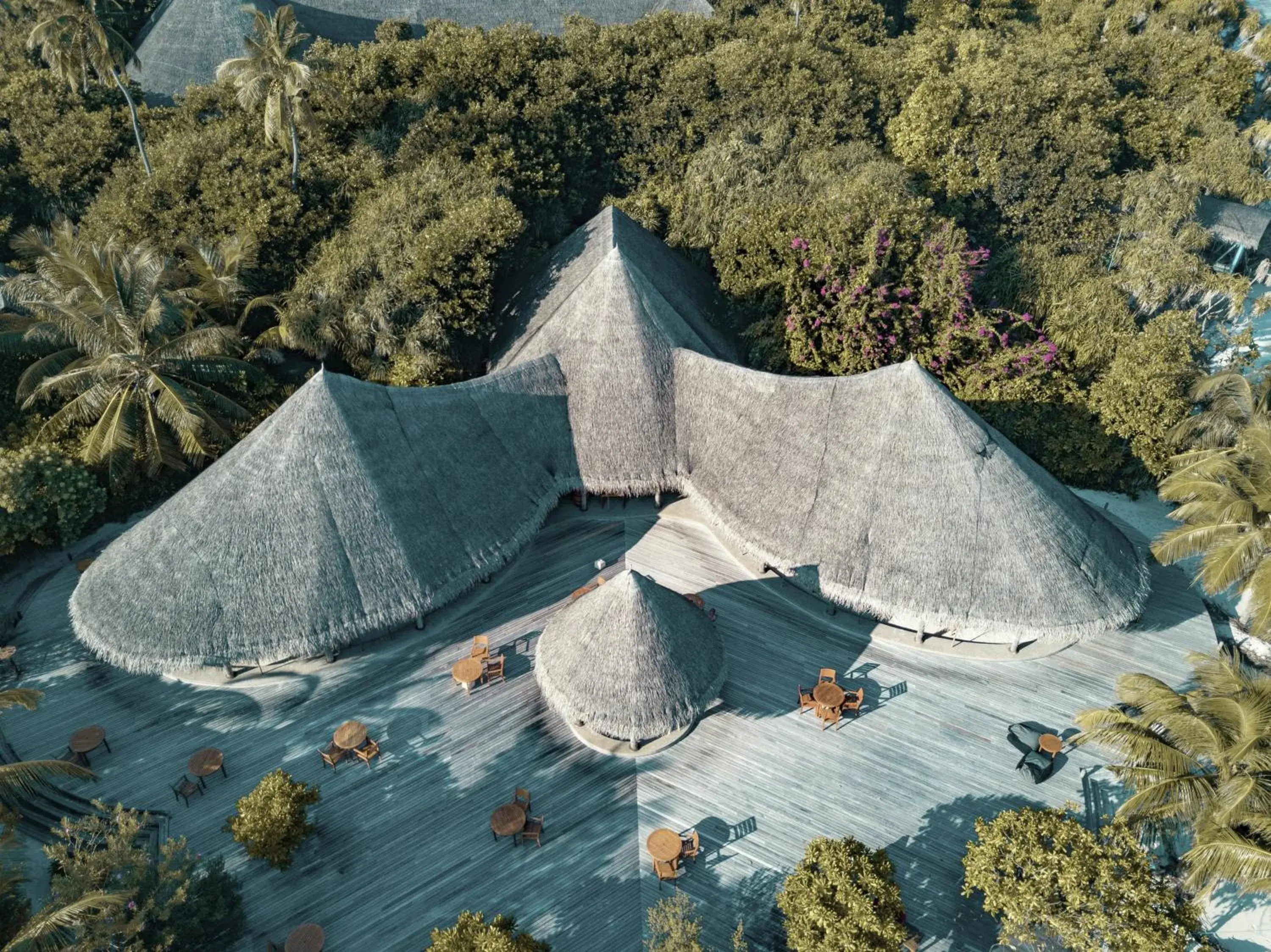 Lounge or bar in Coco Palm Dhuni Kolhu Lounge or bar in Coco Palm Dhuni Kolhu