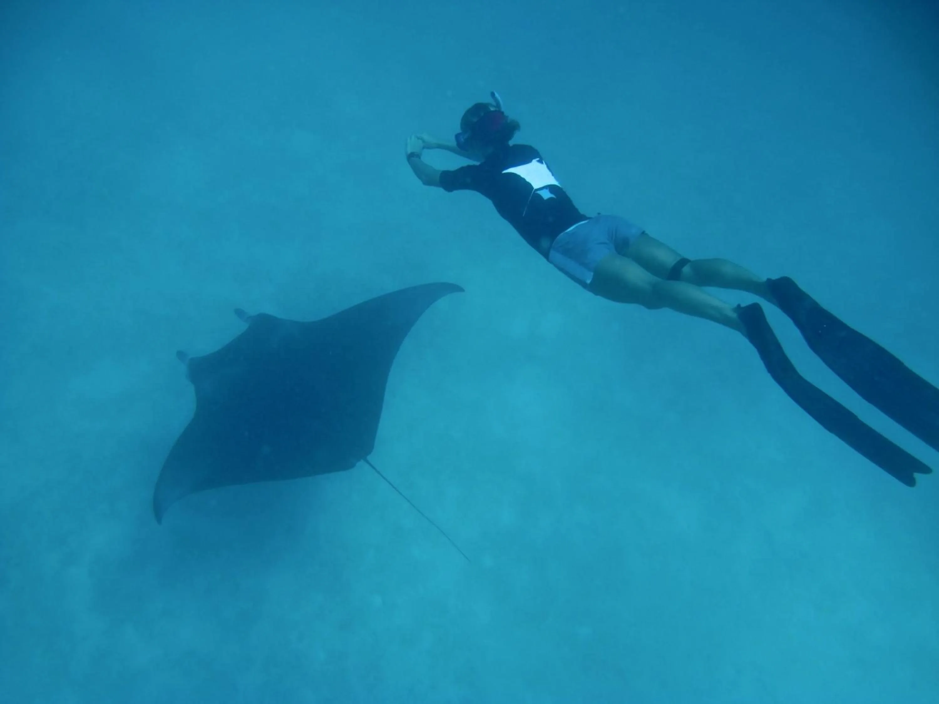 Snorkeling in Coco Palm Dhuni Kolhu