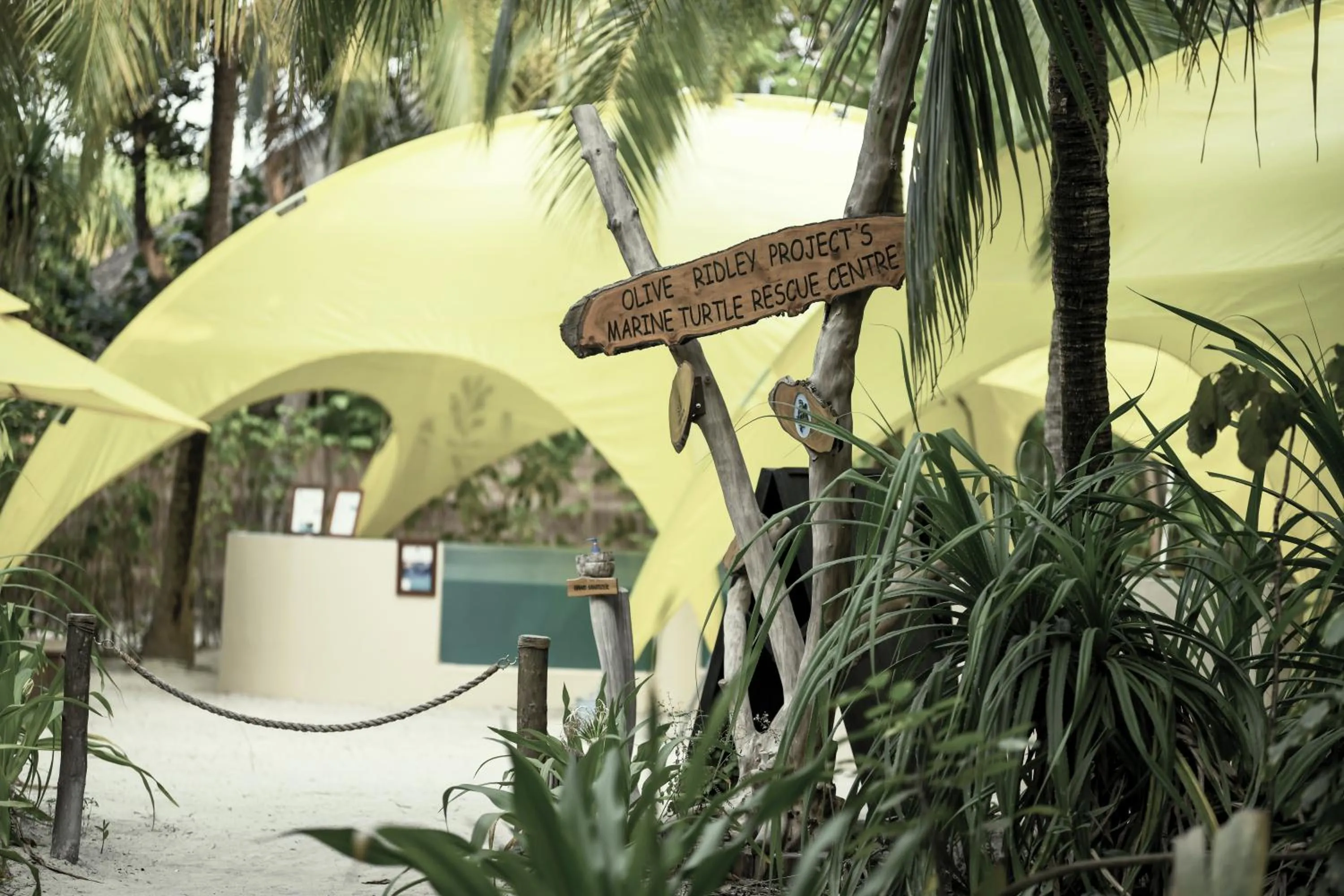 Activities in Coco Palm Dhuni Kolhu