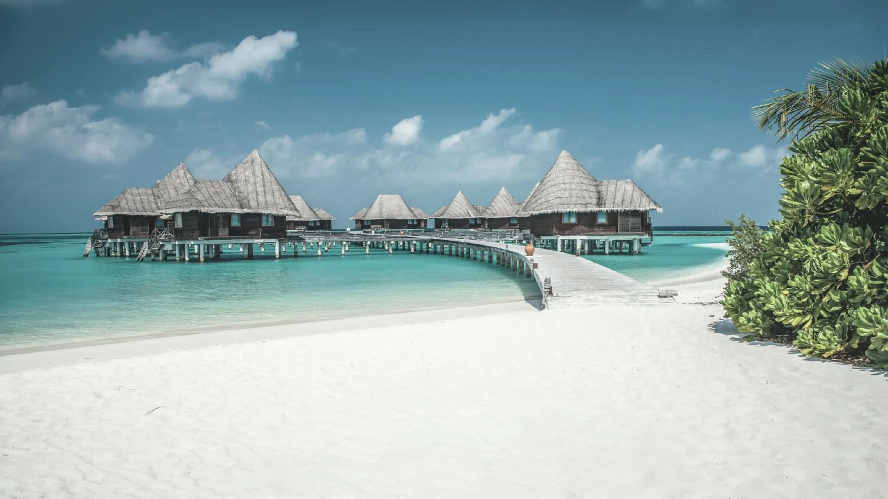Beach in Coco Palm Dhuni Kolhu
