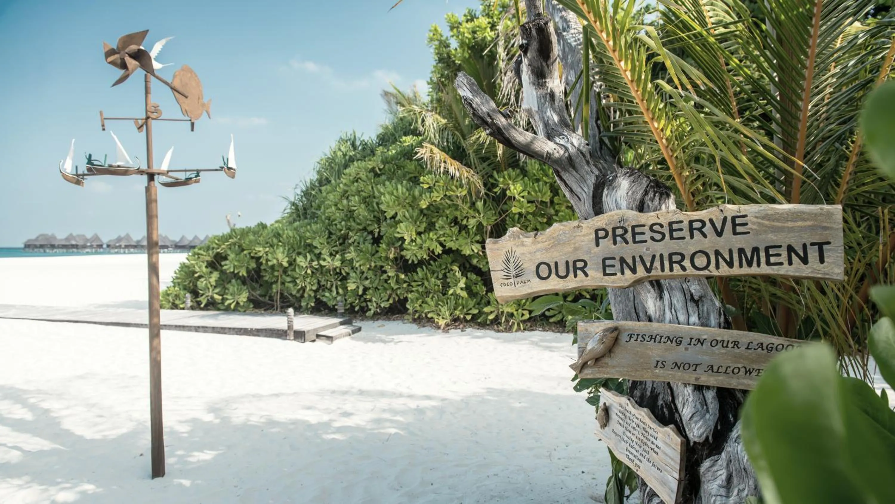 Beach in Coco Palm Dhuni Kolhu