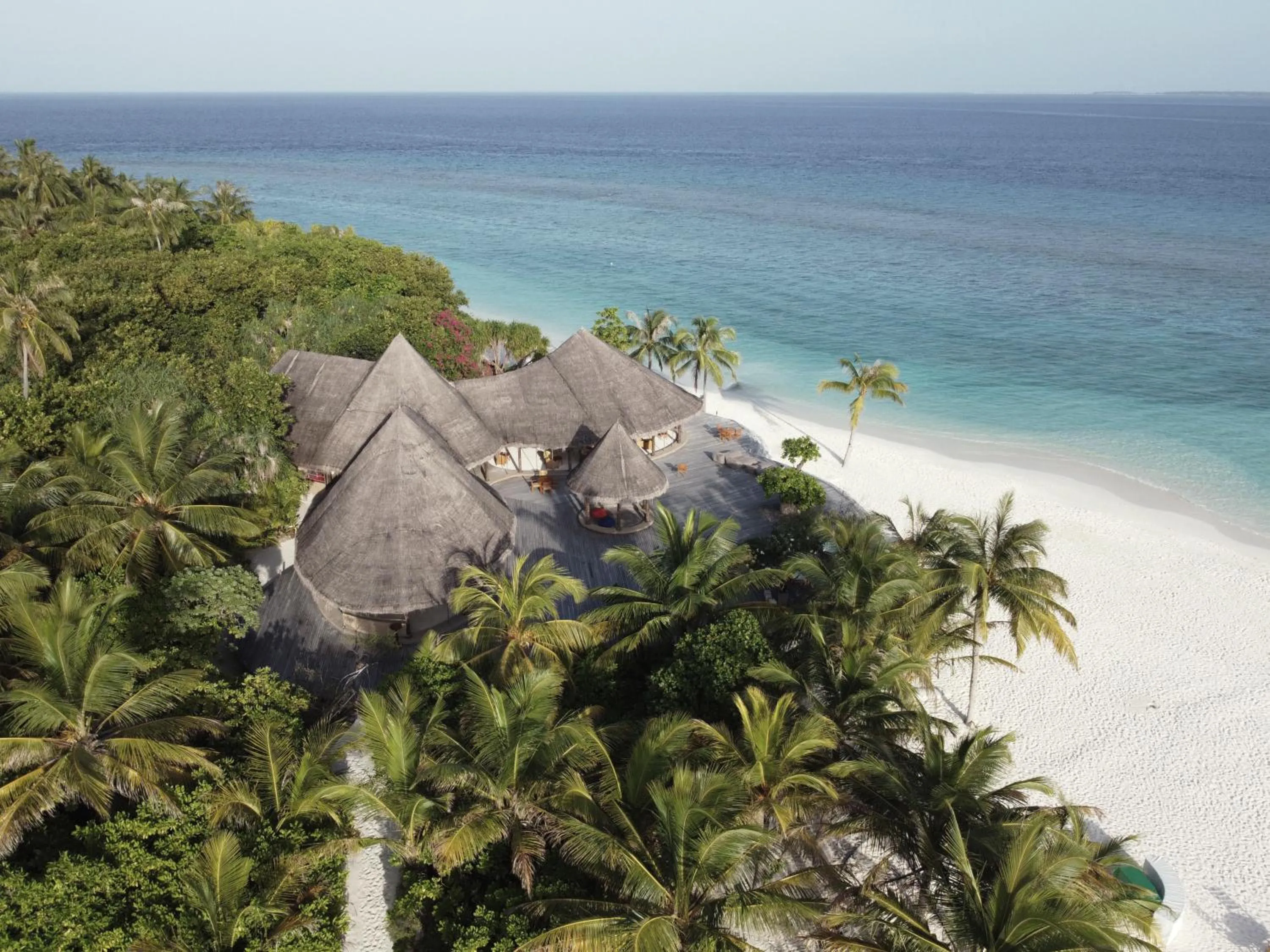 Lounge or bar in Coco Palm Dhuni Kolhu