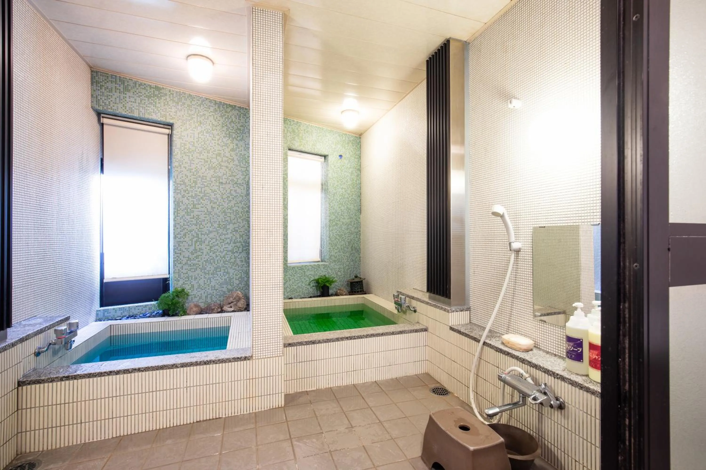 Public Bath in Daibutsu Ryokan