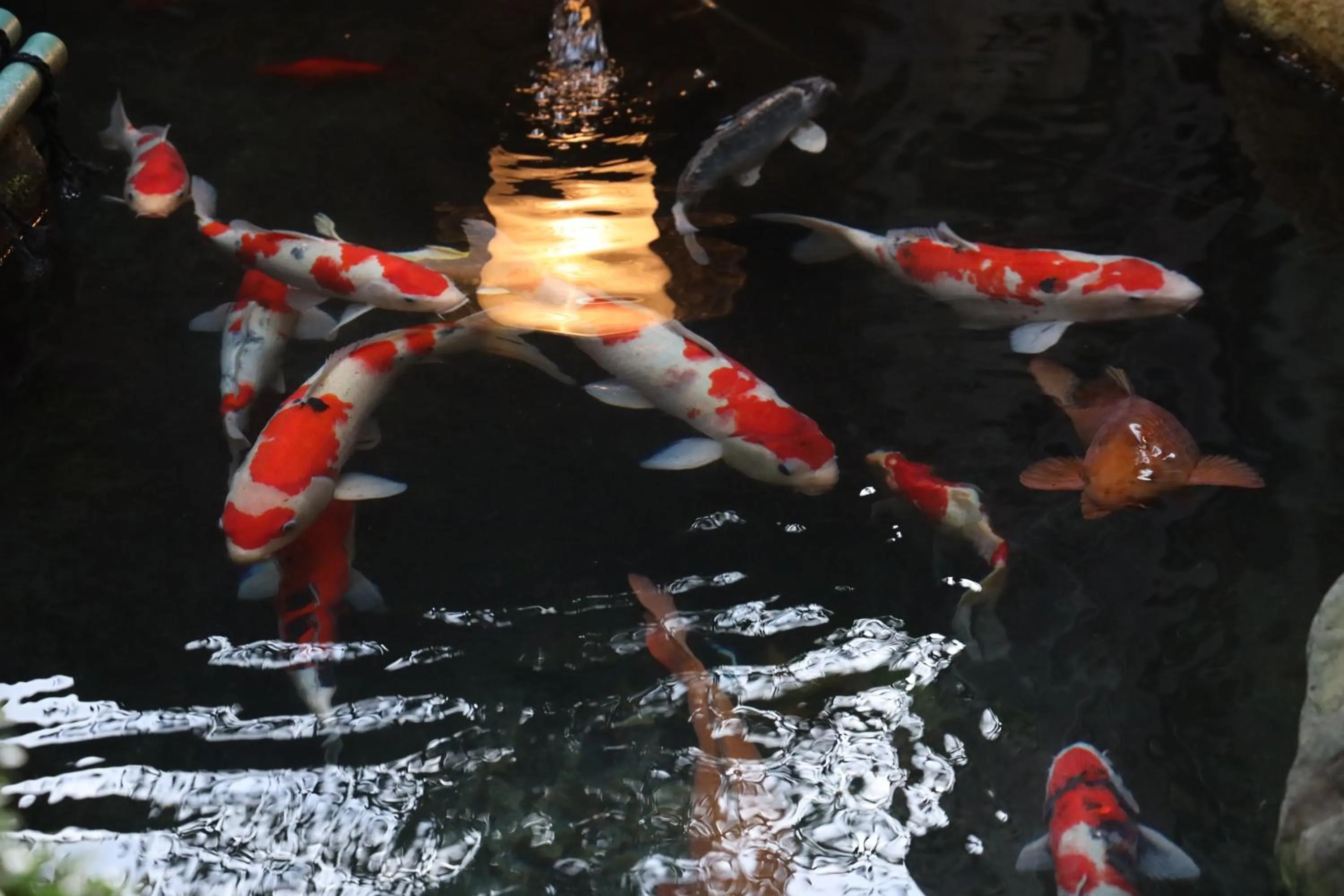 Garden in Daibutsu Ryokan