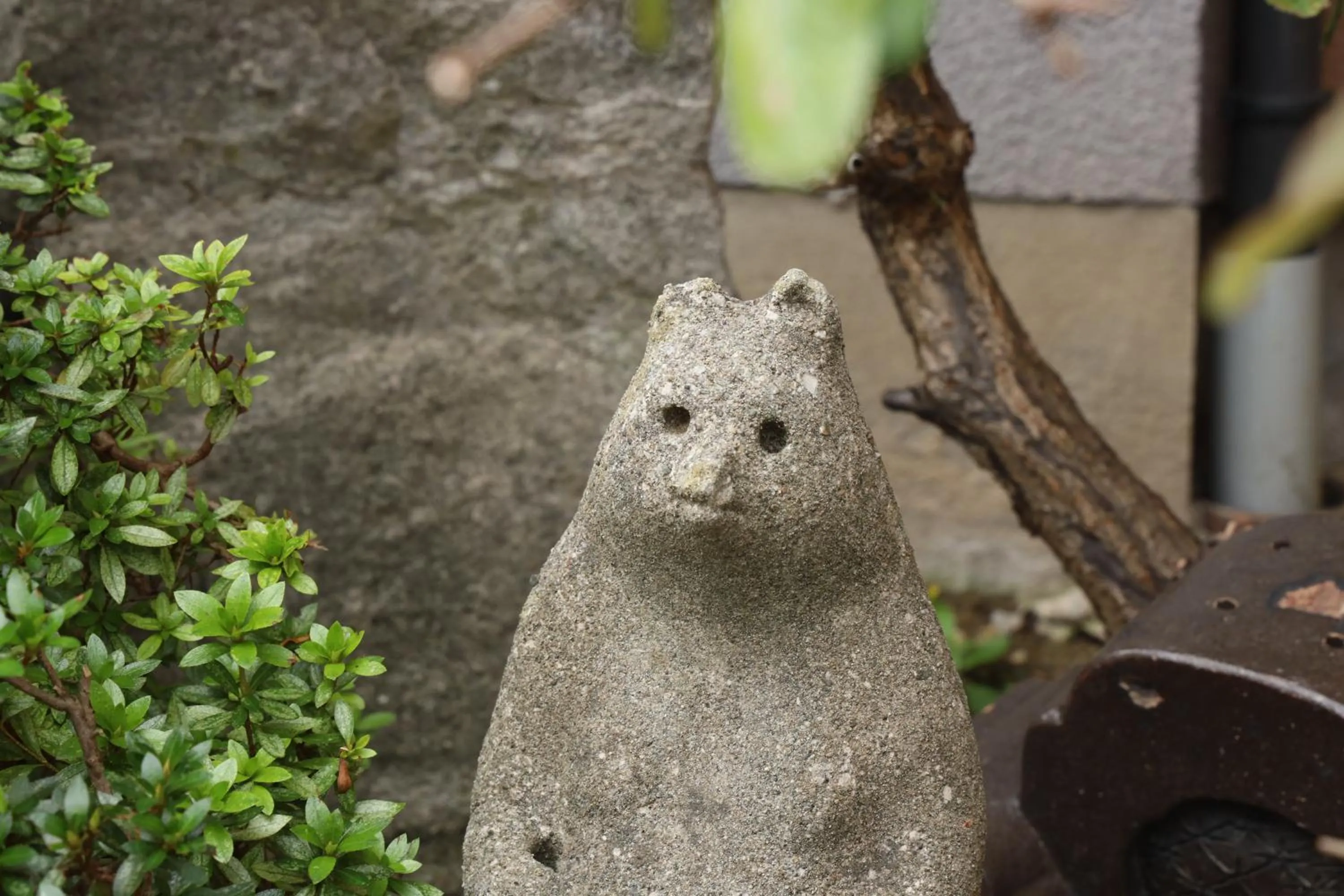 Area and facilities in Daibutsu Ryokan