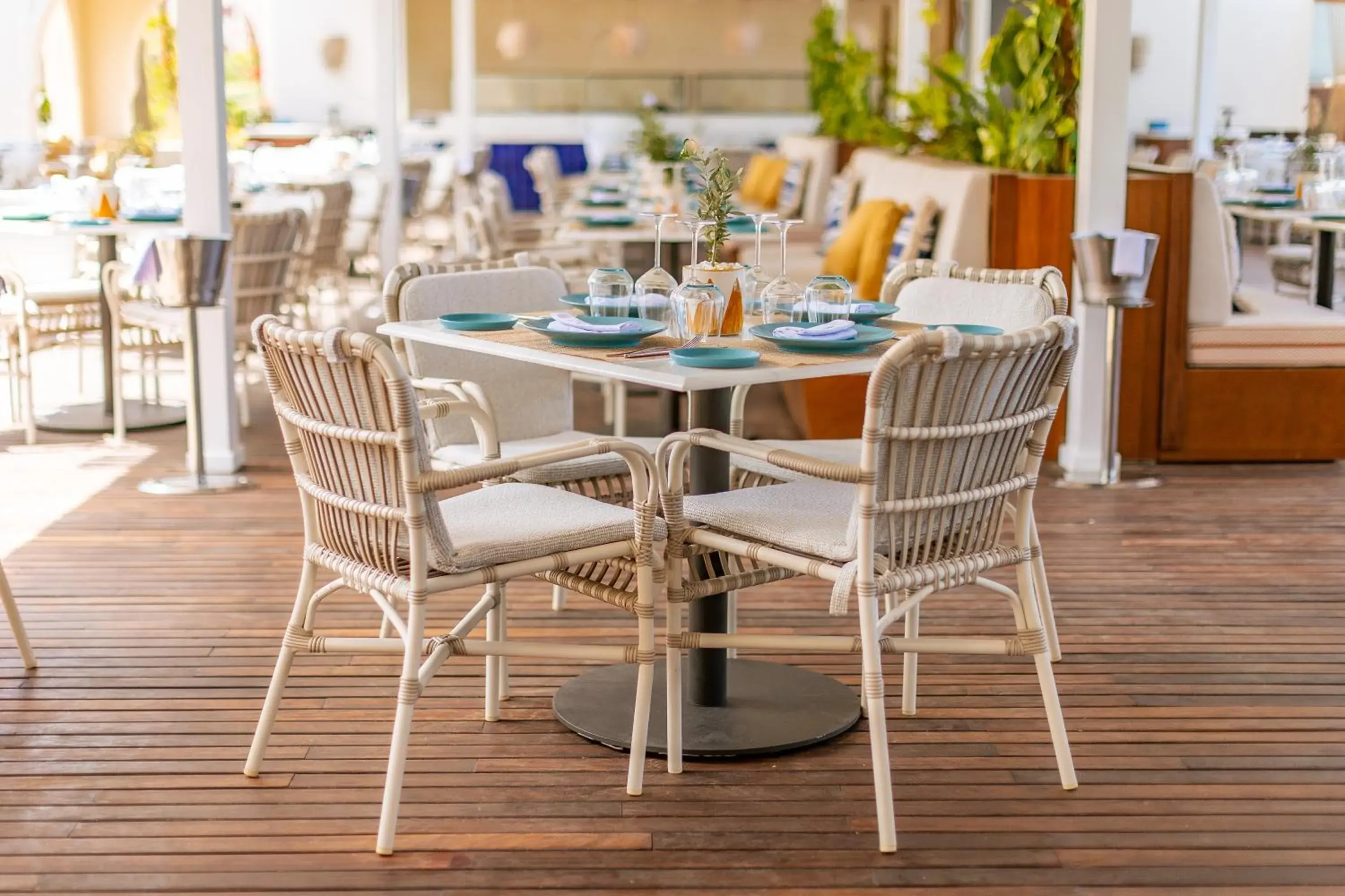 Restaurant/places to eat in Four Seasons Hotel Tunis Restaurant/places to eat in Four Seasons Hotel Tunis