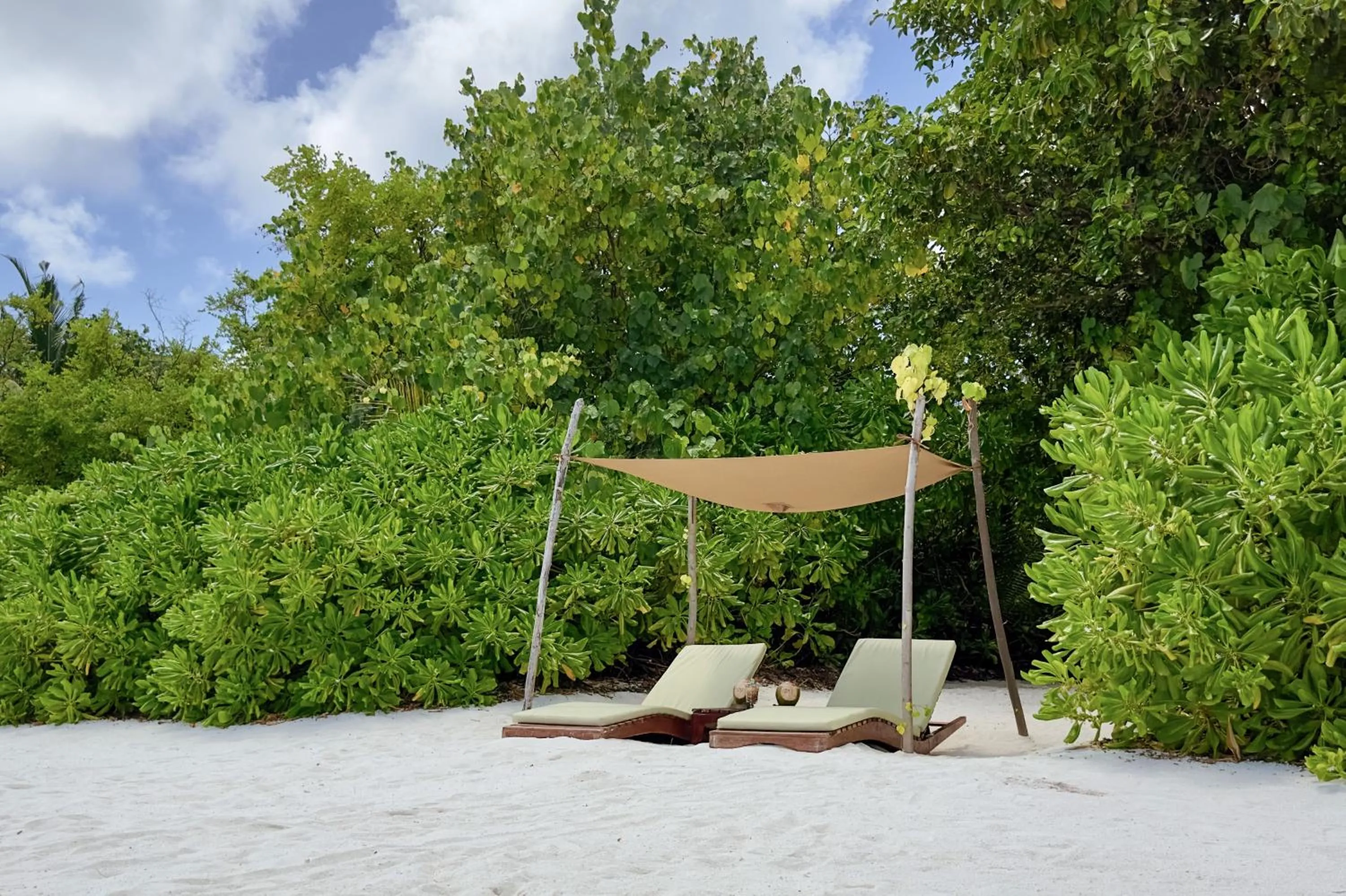 sunbed in Coco Bodu Hithi - 50 percent off shared roundtrip Speedboat for stays from 1 Sep to 23 Dec 2025