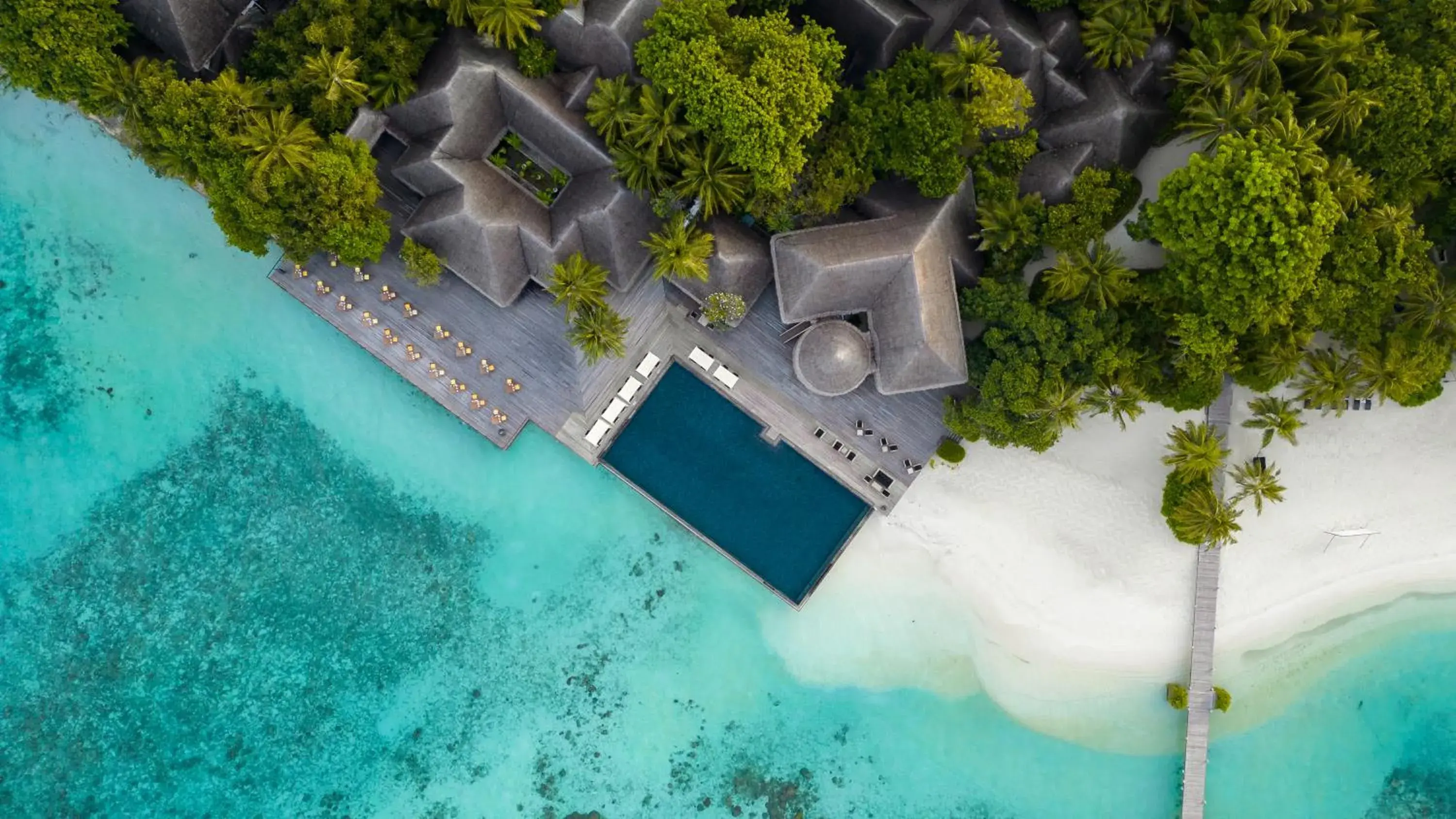 Swimming pool in Coco Bodu Hithi - 50 percent off shared roundtrip Speedboat for stays from 1 Sep to 23 Dec 2025 Swimming pool in Coco Bodu Hithi - 50 percent off shared roundtrip Speedboat for stays from 1 Sep to 23 Dec 2025