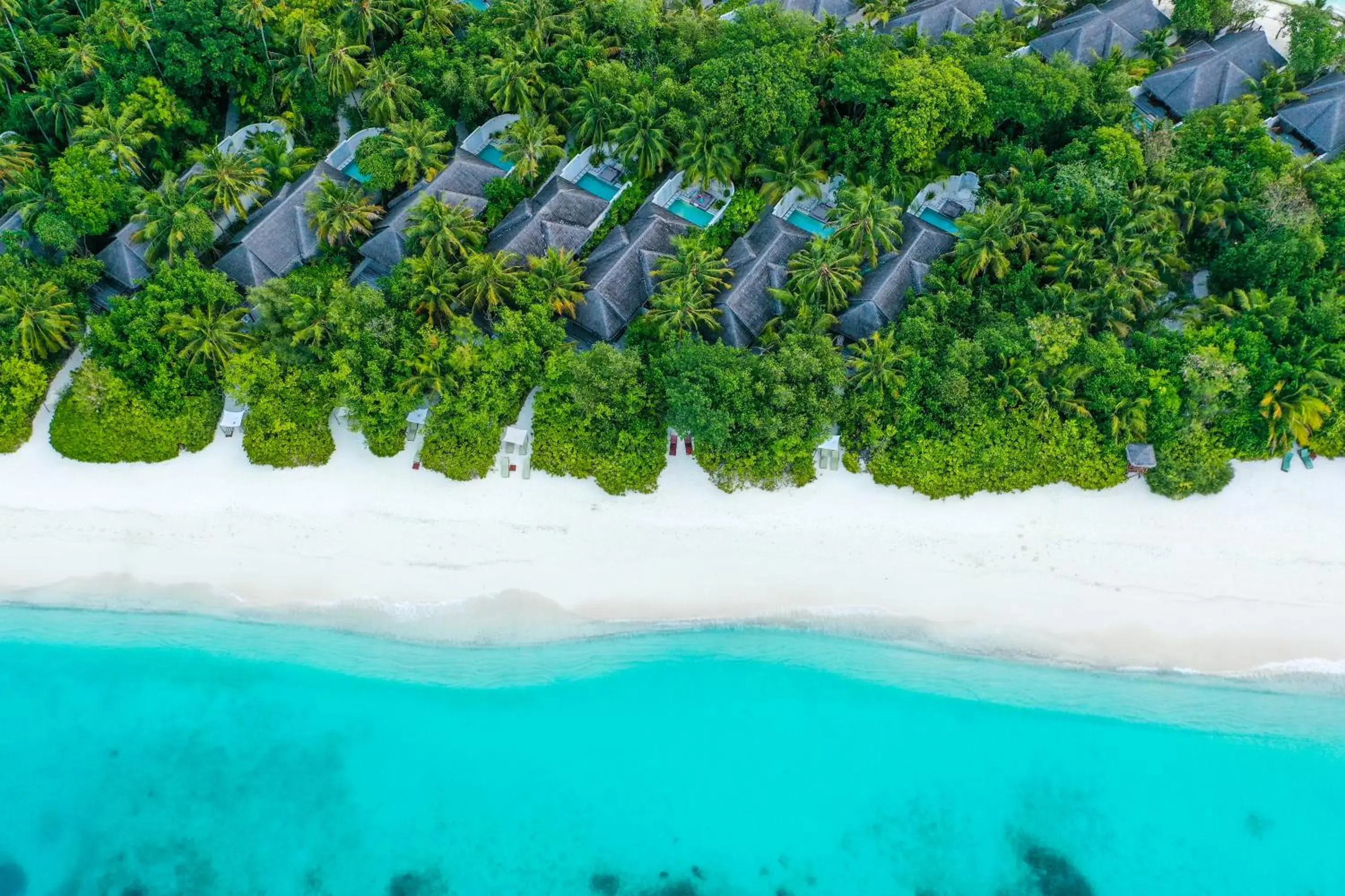 Bird's eye view in Coco Bodu Hithi - 50 percent off shared roundtrip Speedboat for stays from 1 Sep to 23 Dec 2025 Bird's eye view in Coco Bodu Hithi - 50 percent off shared roundtrip Speedboat for stays from 1 Sep to 23 Dec 2025