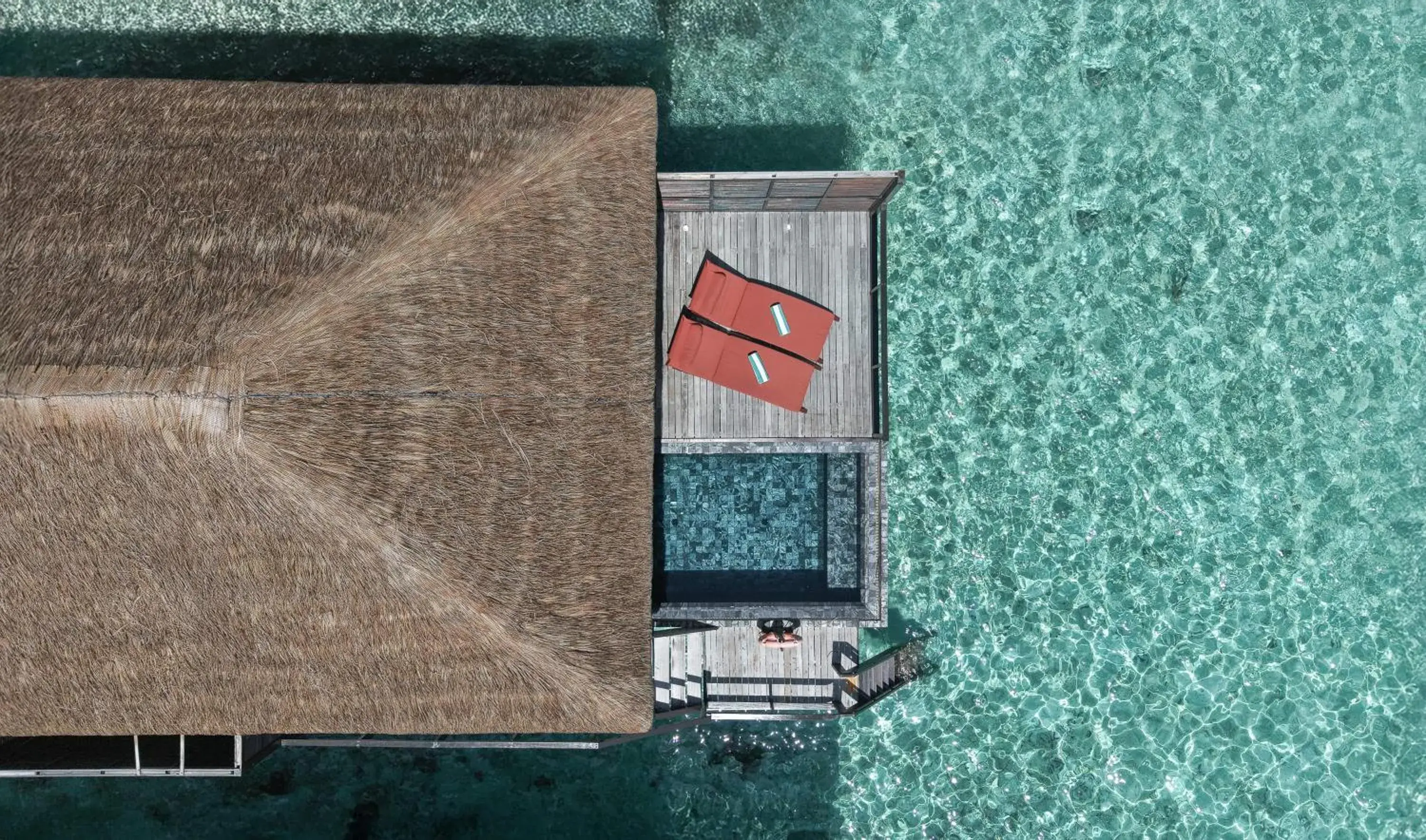 Bird's eye view in Coco Bodu Hithi - 50 percent off shared roundtrip Speedboat for stays from 1 Sep to 23 Dec 2025 Bird's eye view in Coco Bodu Hithi - 50 percent off shared roundtrip Speedboat for stays from 1 Sep to 23 Dec 2025