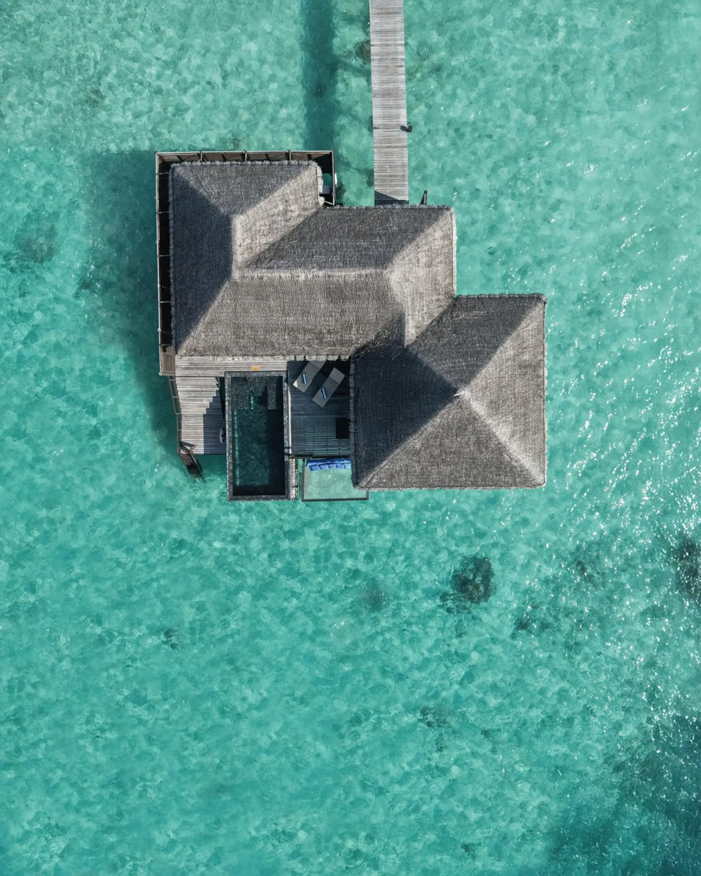 Swimming pool in Coco Bodu Hithi - 50 percent off shared roundtrip Speedboat for stays from 1 Sep to 23 Dec 2025 Swimming pool in Coco Bodu Hithi - 50 percent off shared roundtrip Speedboat for stays from 1 Sep to 23 Dec 2025