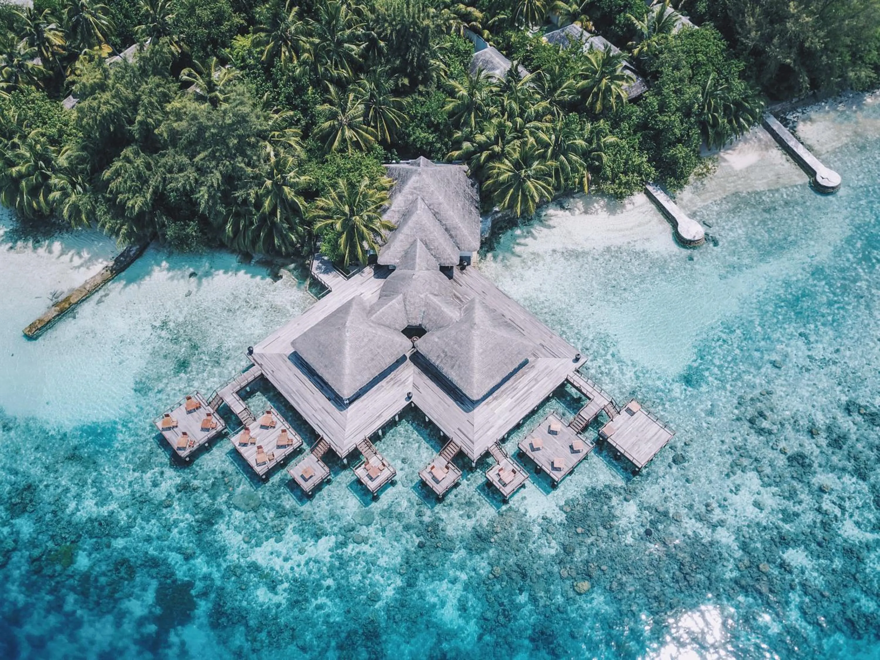 Restaurant/places to eat in Coco Bodu Hithi - 50 percent off shared roundtrip Speedboat for stays from 1 Sep to 23 Dec 2025