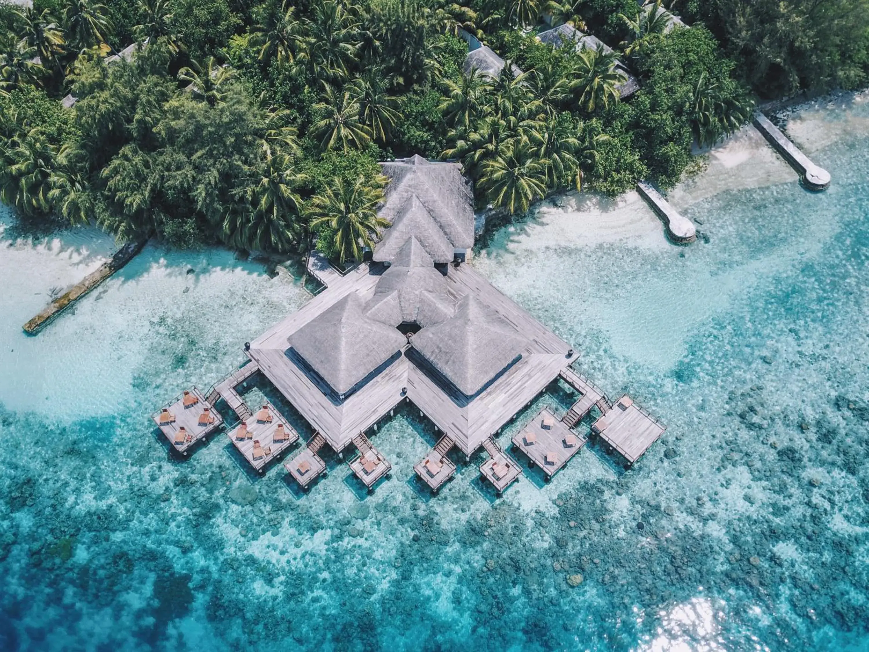 Restaurant/places to eat in Coco Bodu Hithi - 50 percent off shared roundtrip Speedboat for stays from 1 Sep to 23 Dec 2025 Restaurant/places to eat in Coco Bodu Hithi - 50 percent off shared roundtrip Speedboat for stays from 1 Sep to 23 Dec 2025