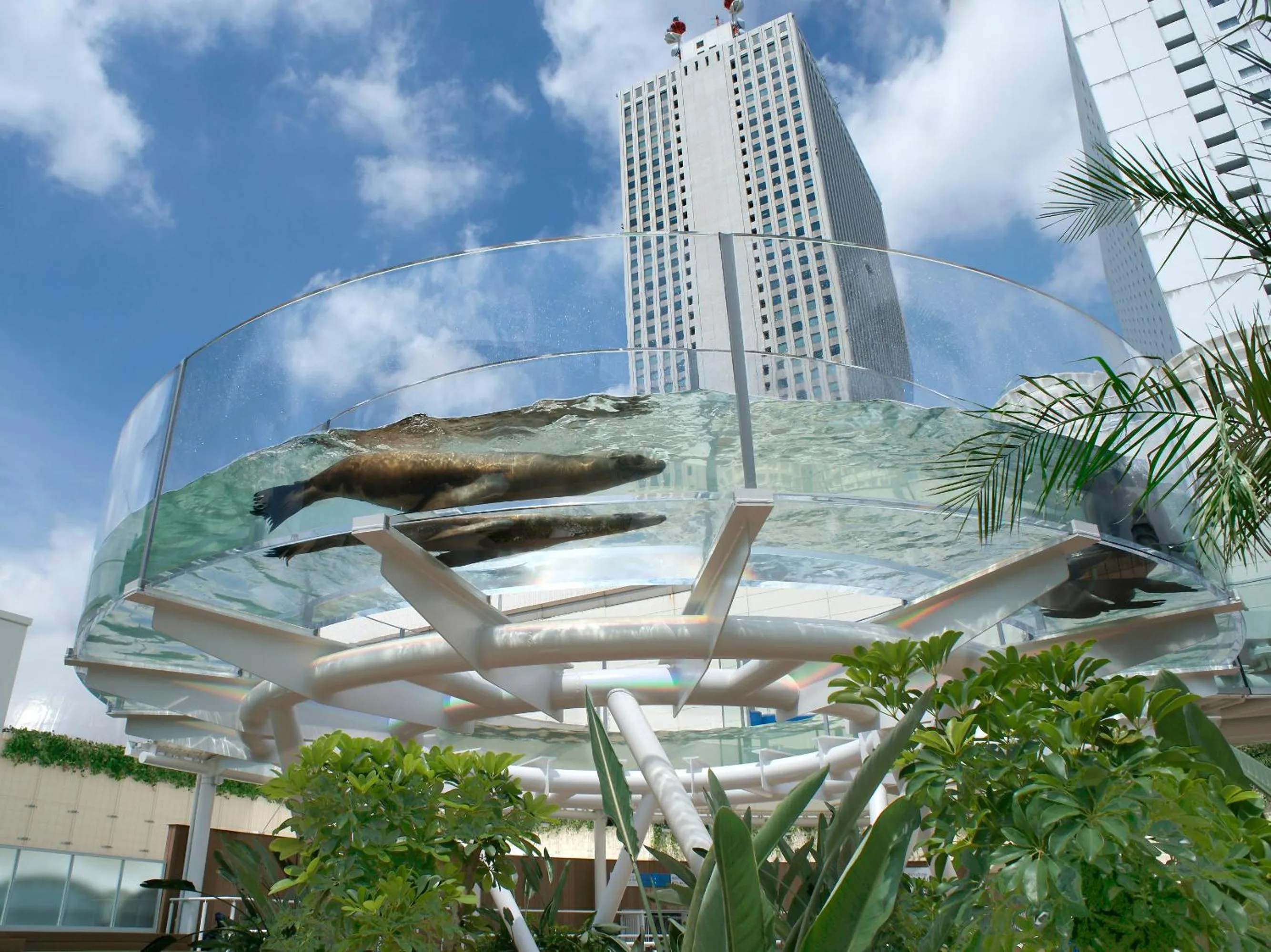 Aqua park in Sunshine City Prince Hotel Ikebukuro Tokyo