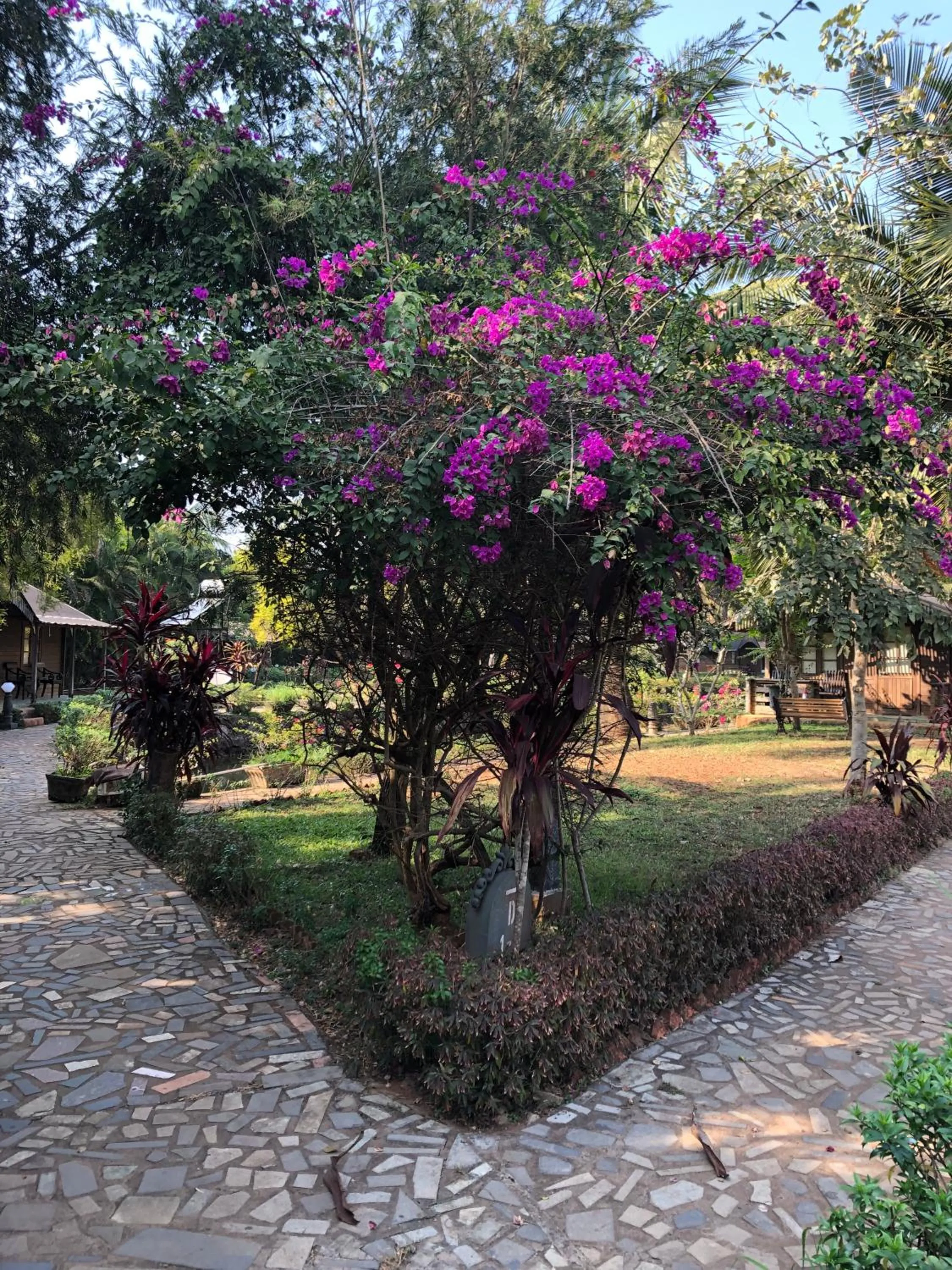 Garden in Resort Primo Bom Terra Verde