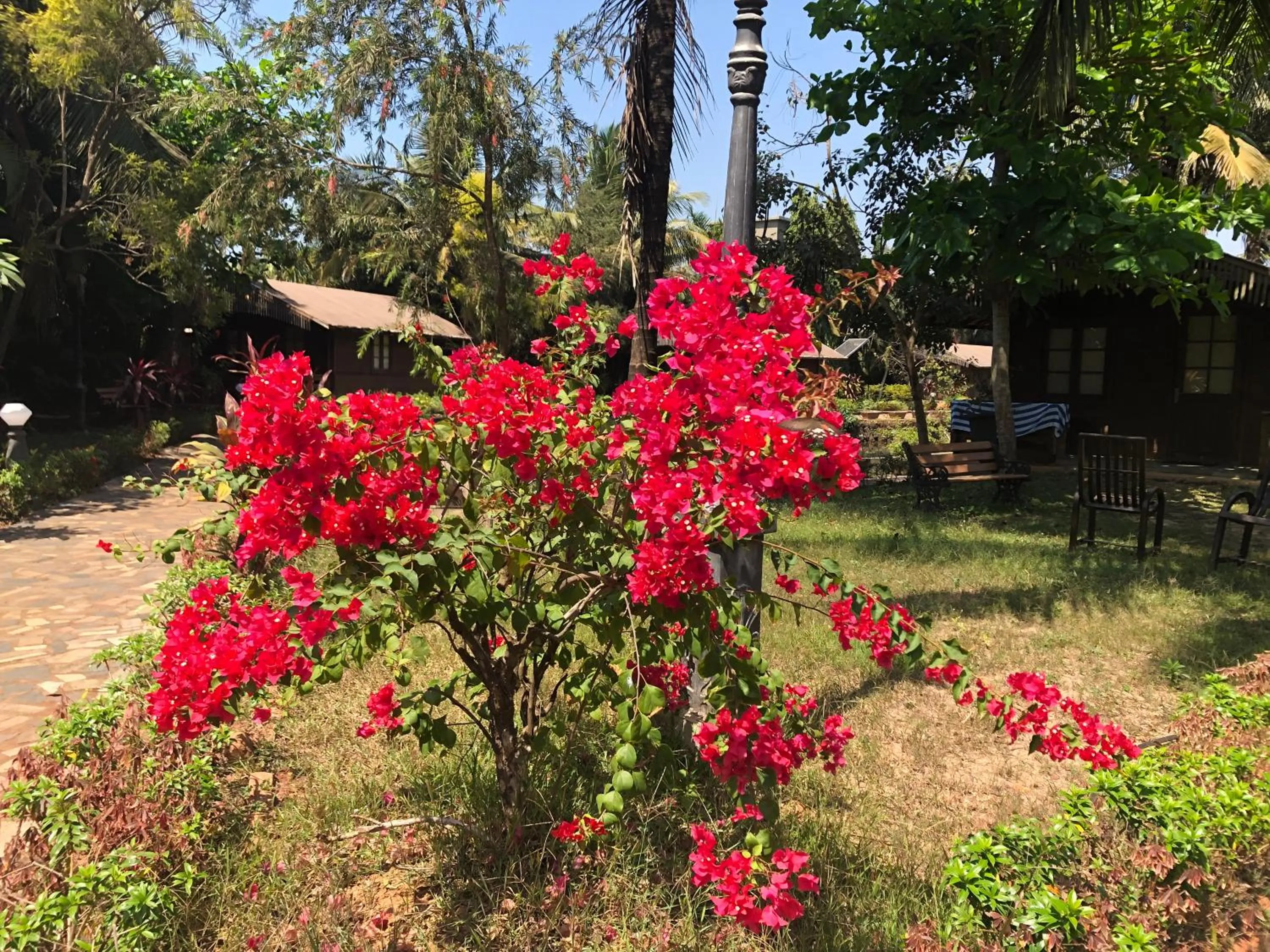 Garden in Resort Primo Bom Terra Verde