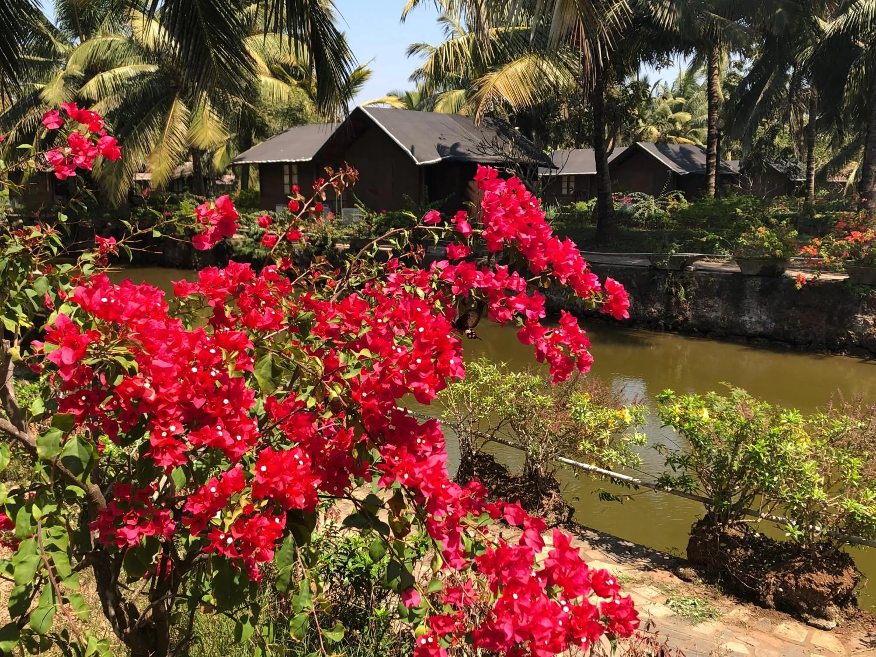 Garden in Resort Primo Bom Terra Verde