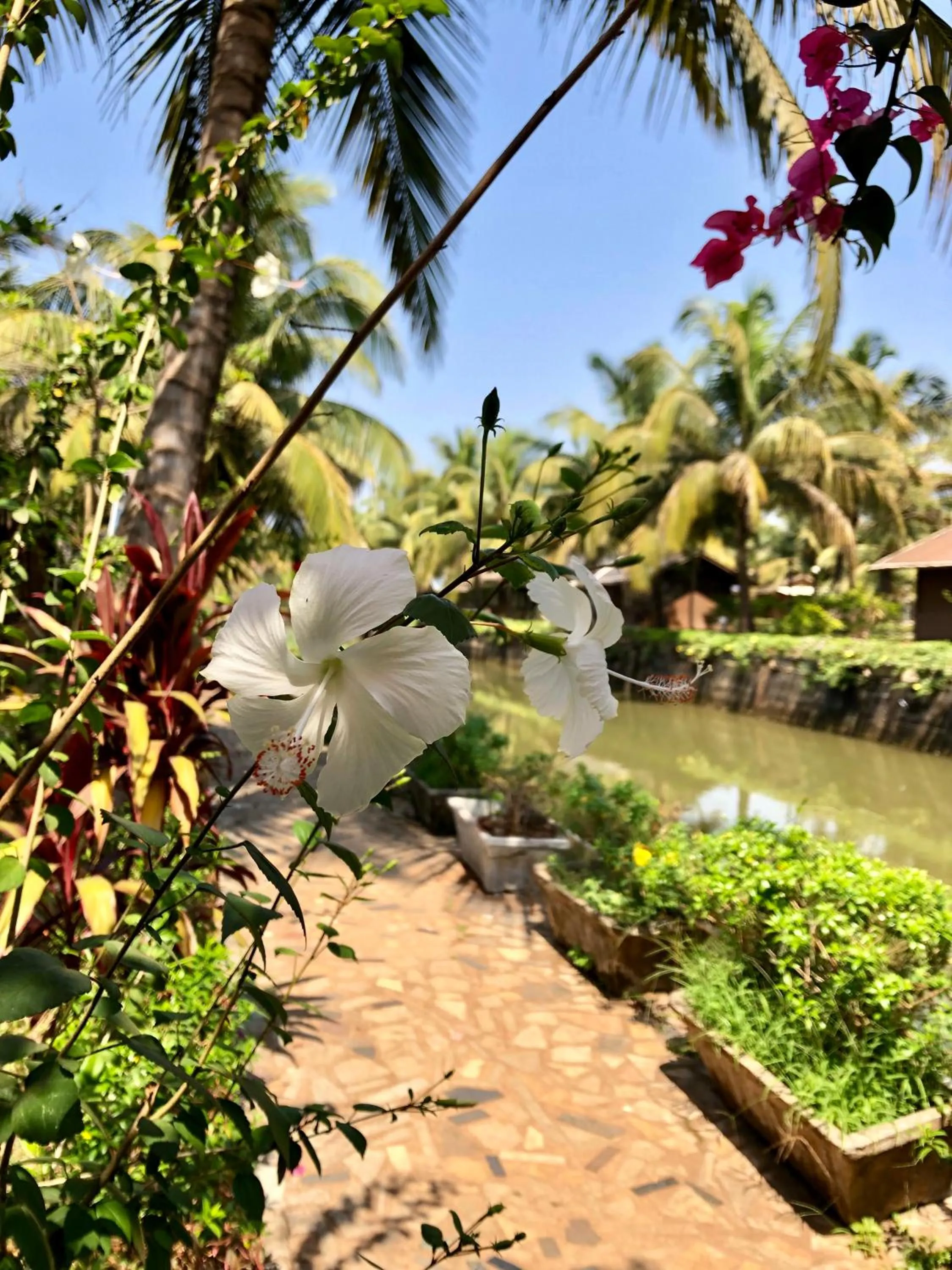 Garden in Resort Primo Bom Terra Verde