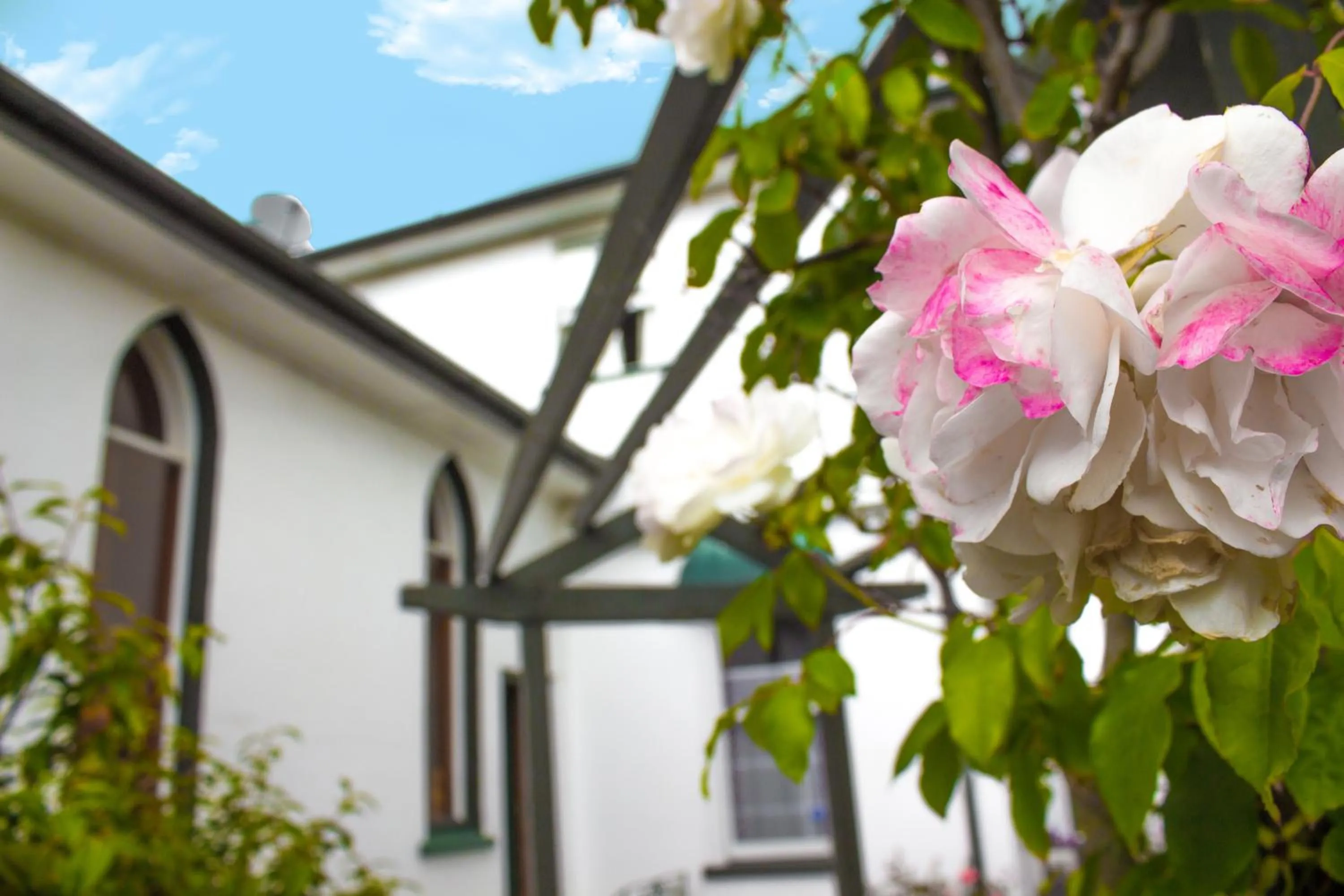 The Pier Lodge Bed And Breakfast