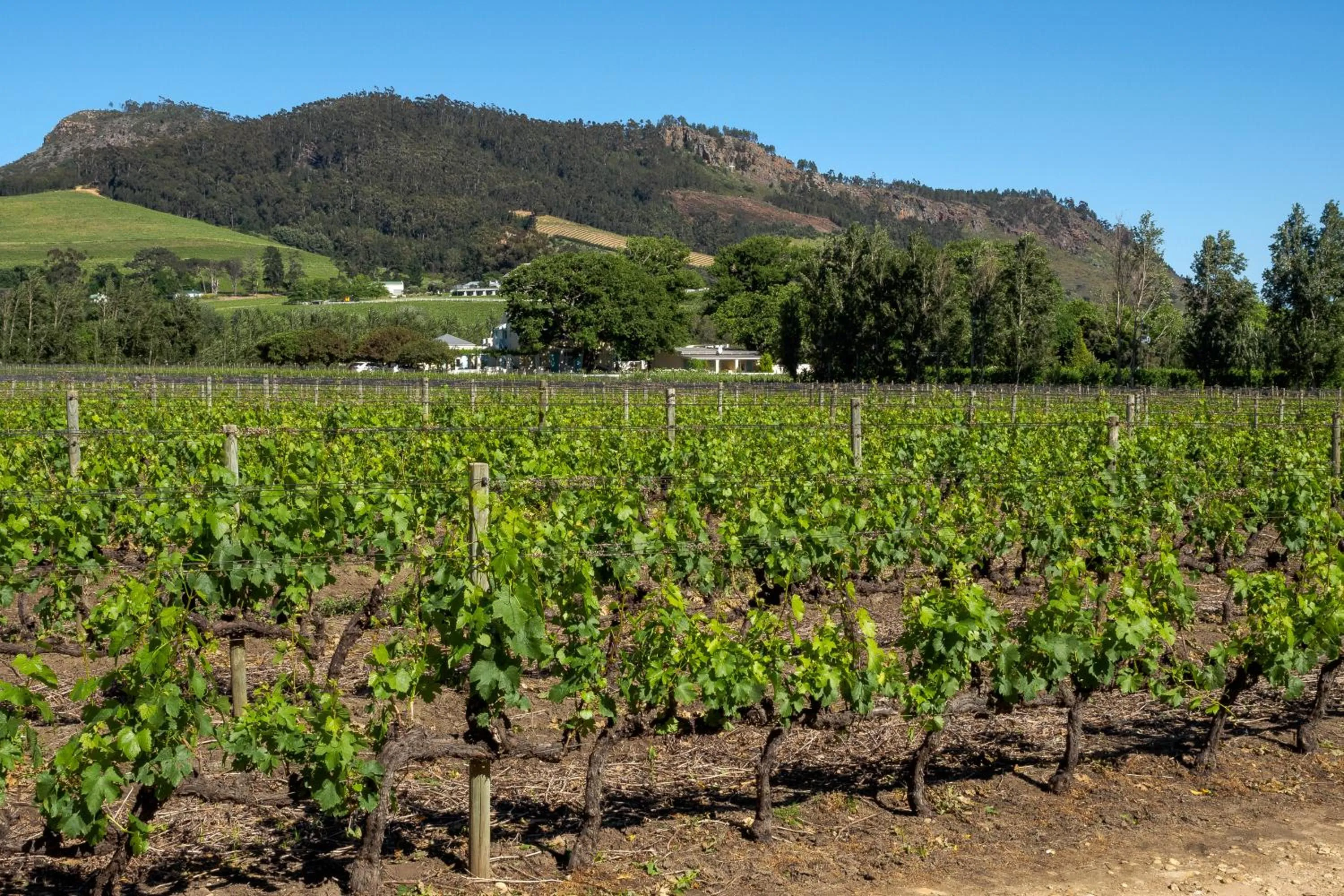 Nearby landmark in Auberge Clermont